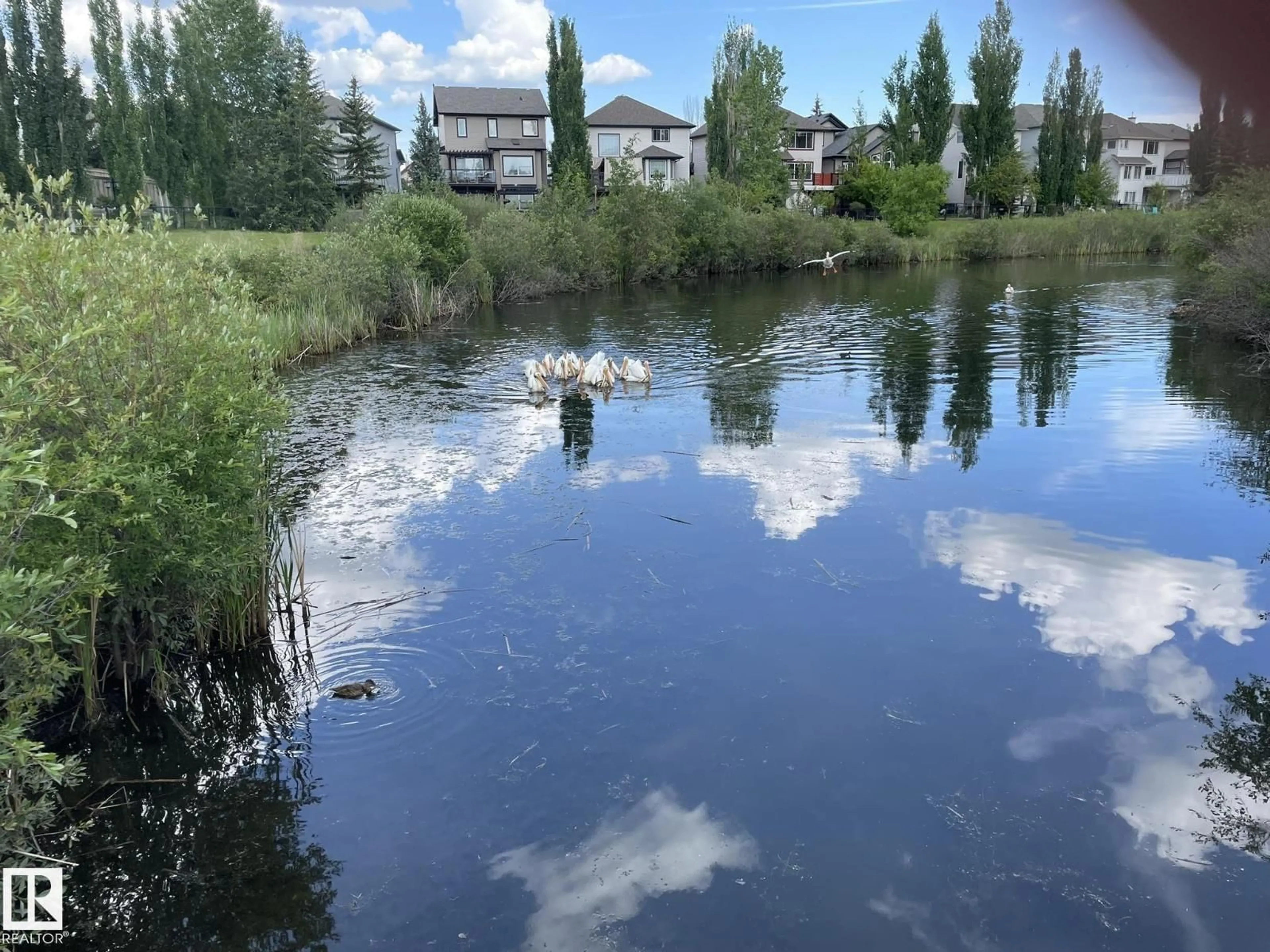 Blurry image for 207 - 7021 SOUTH TERWILLEGAR DR, Edmonton Alberta T6R0W5