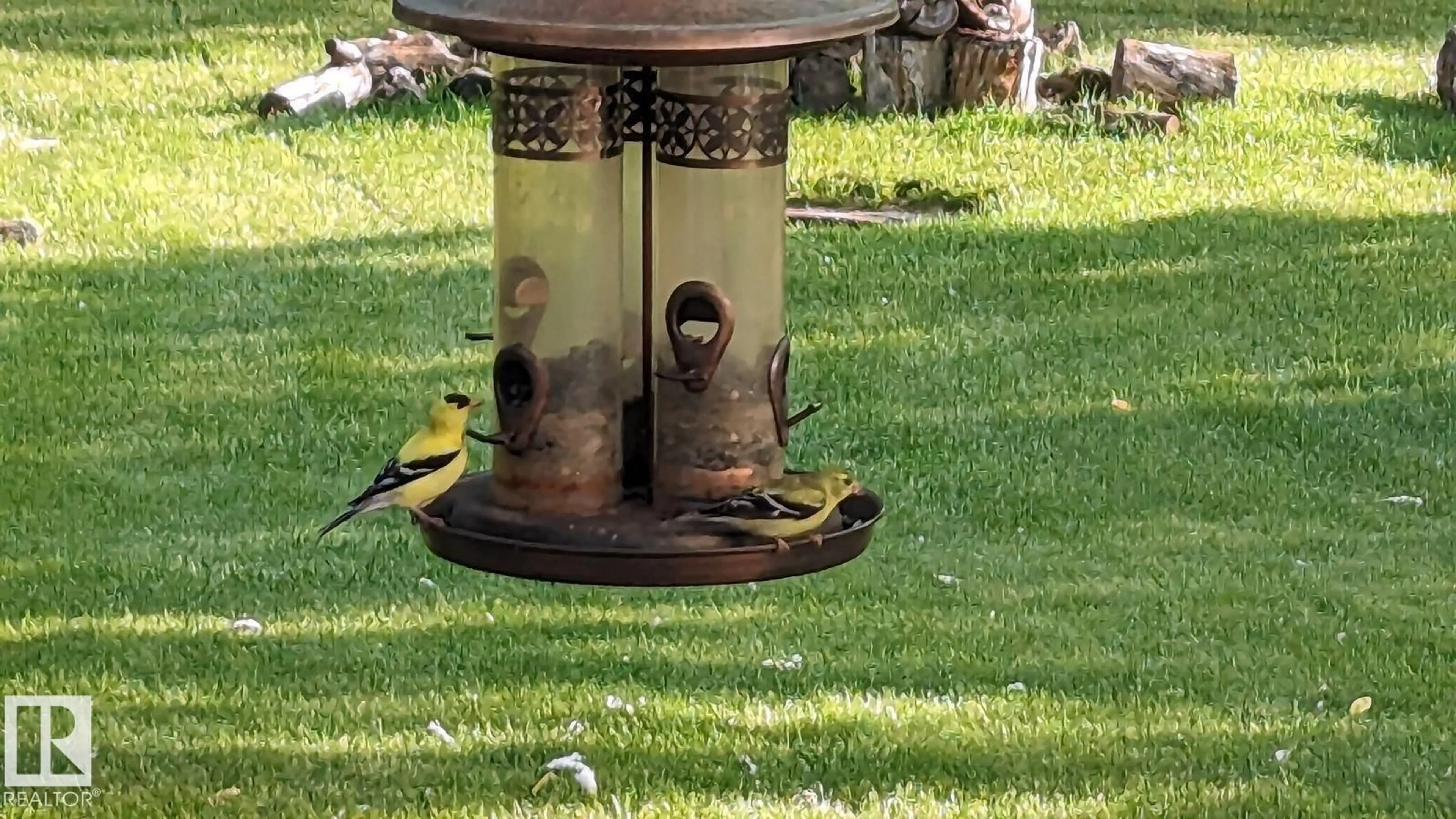 Blurry image for 54500 - 106 RGE ROAD 275, Rural Sturgeon County Alberta T8R1Z1