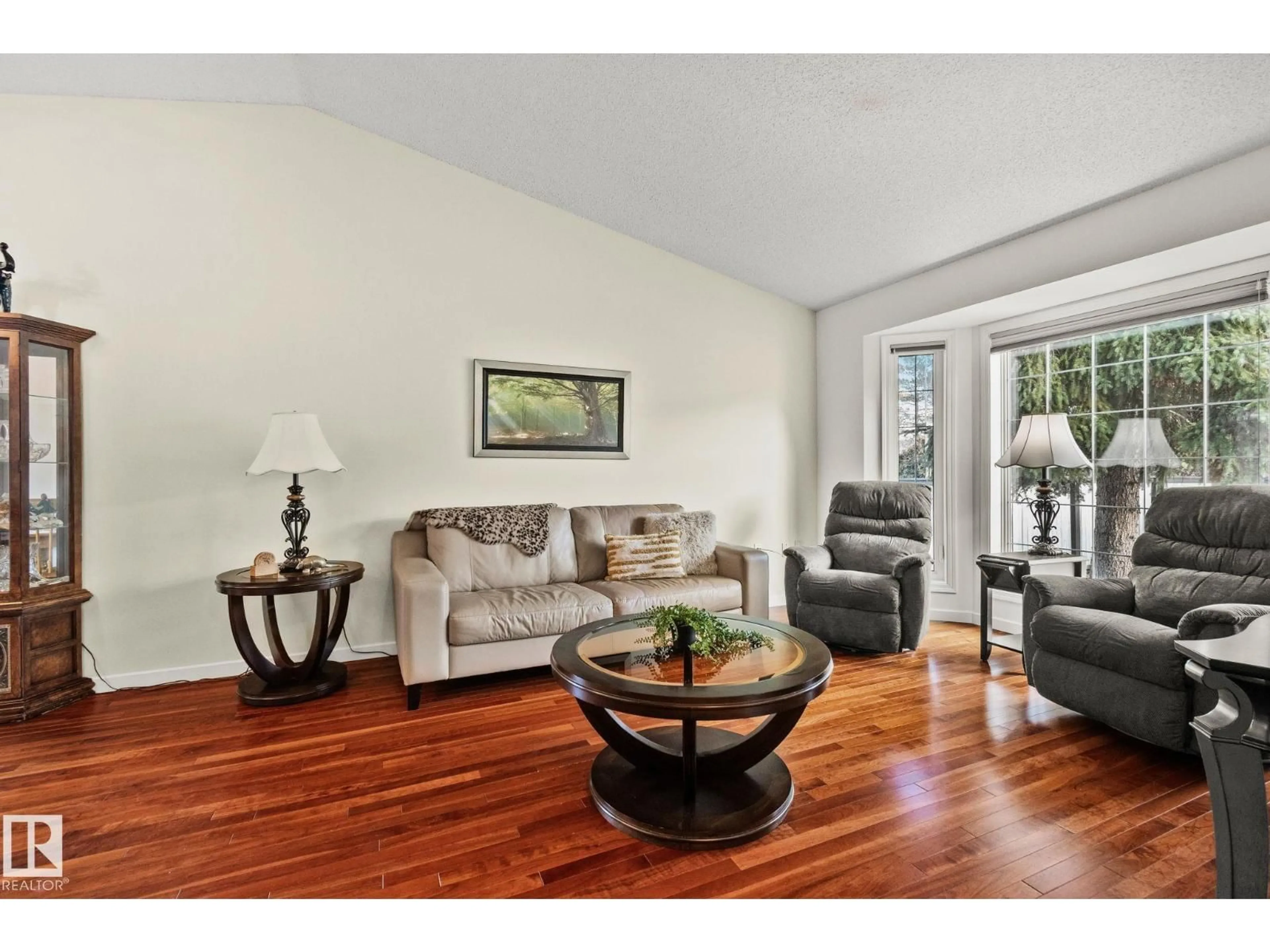 Living room with furniture, wood/laminate floor for #10 - 13217 155 AV NW, Edmonton Alberta T6V1E6