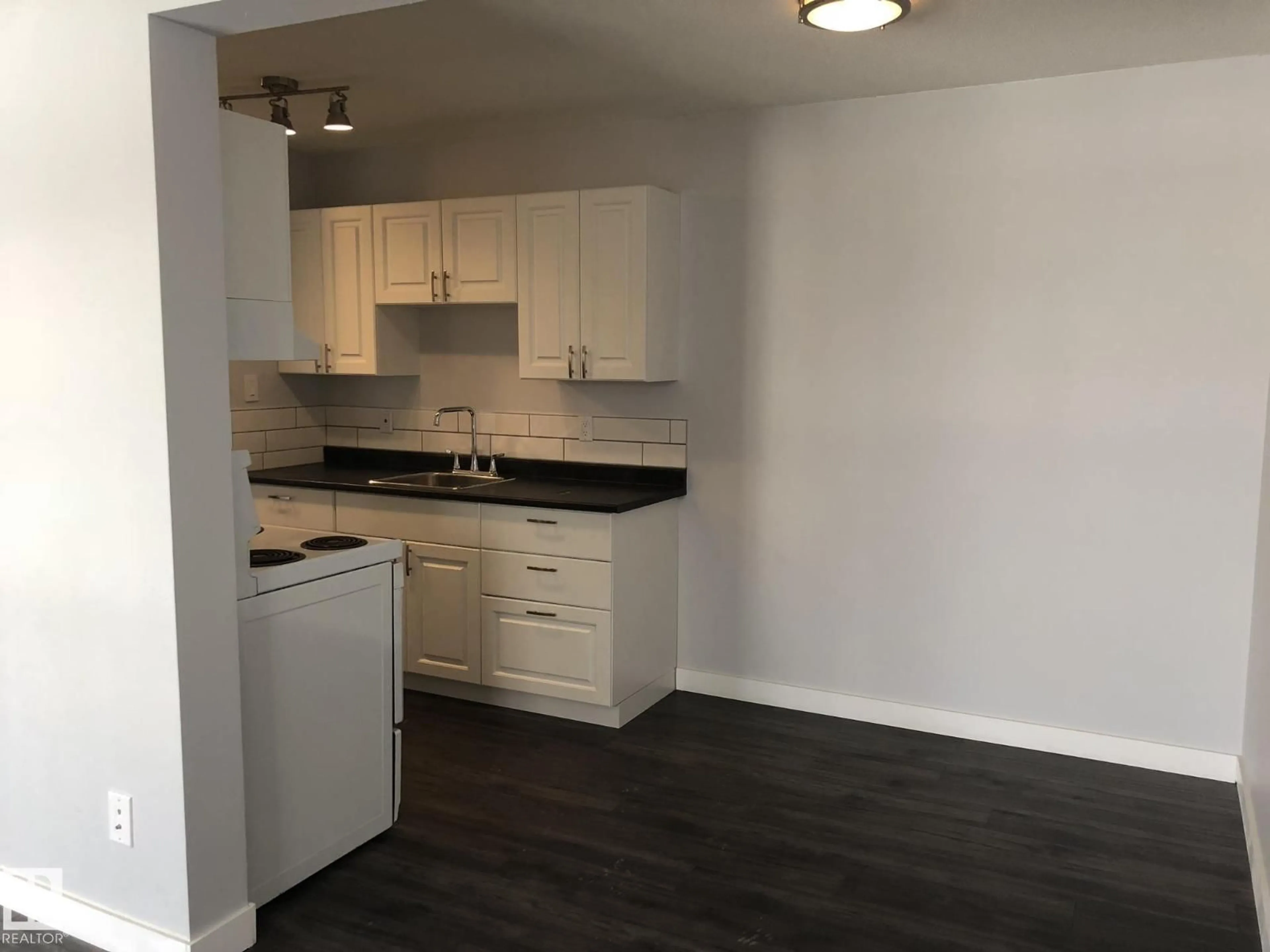 Standard kitchen, wood/laminate floor for 301 - 10811 115 ST NW, Edmonton Alberta T5H3L2