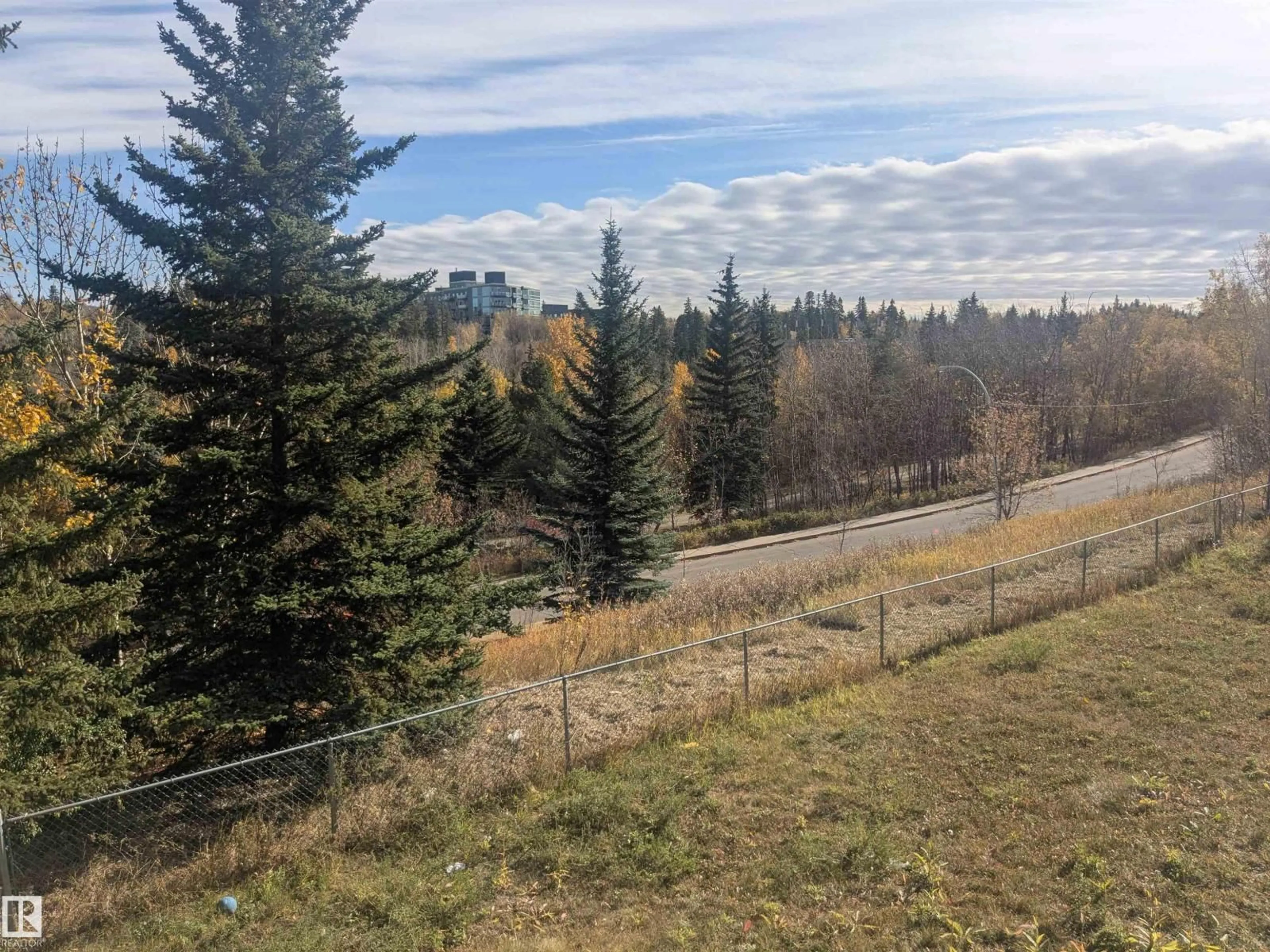A pic from outside/outdoor area/front of a property/back of a property/a pic from drone, forest/trees view for 8311 96 ST, Edmonton Alberta T6C3Y4