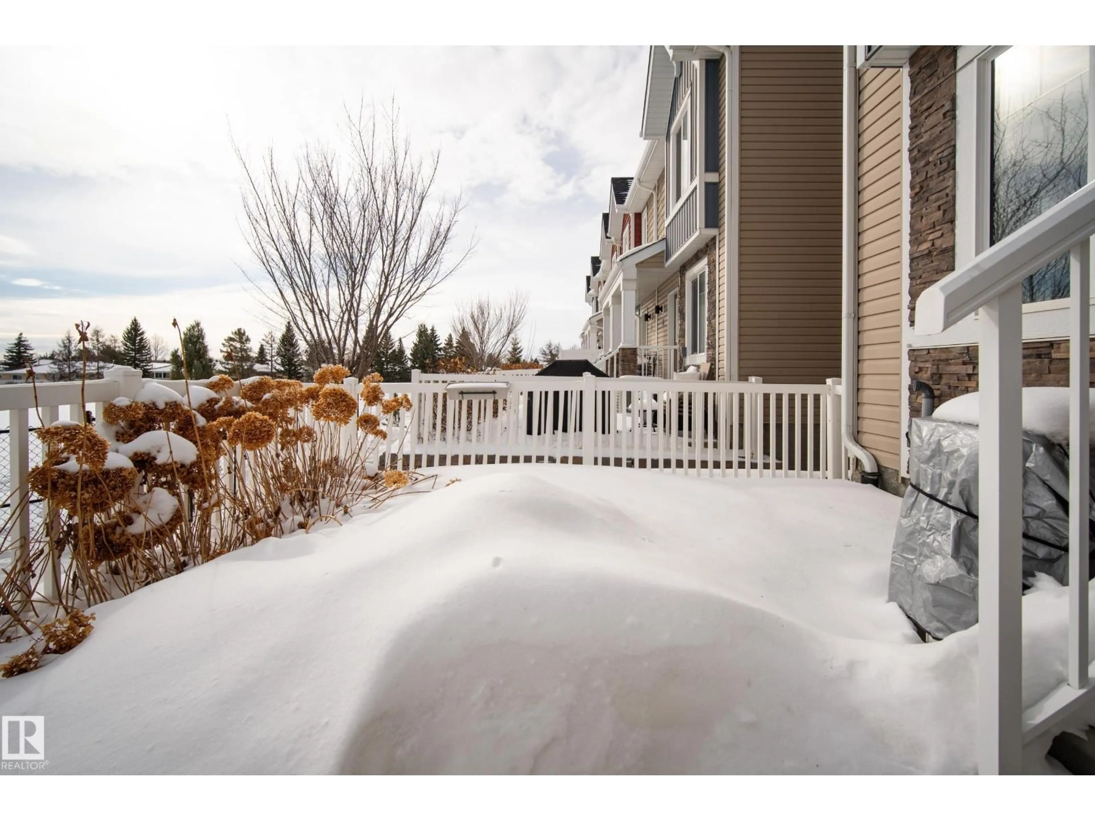 Patio, unknown for #5 - 1508 105 ST NW, Edmonton Alberta T6J5R8