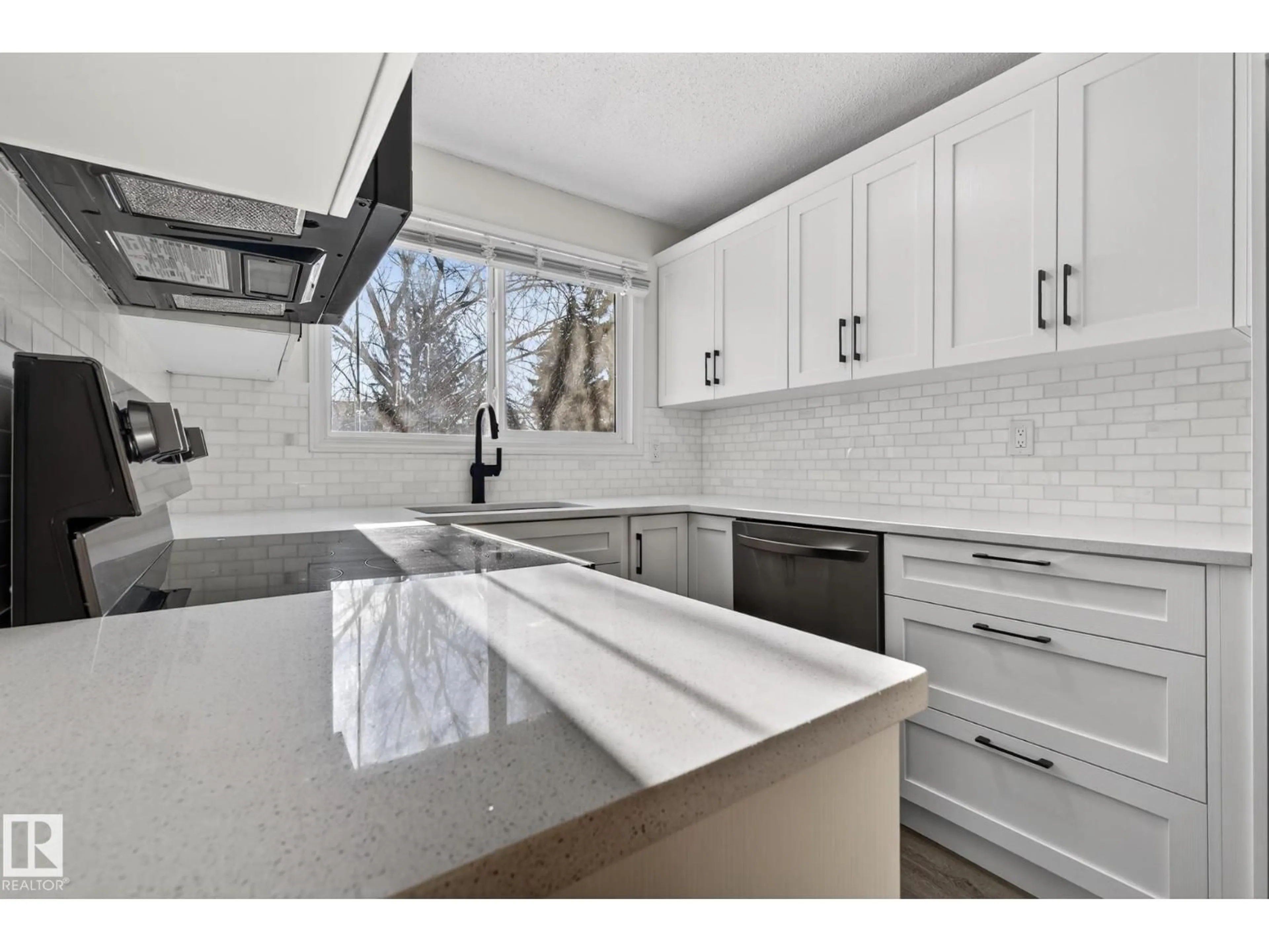 Unknown for NW - 9969 171 AVENUE, Edmonton Alberta T5X4X2