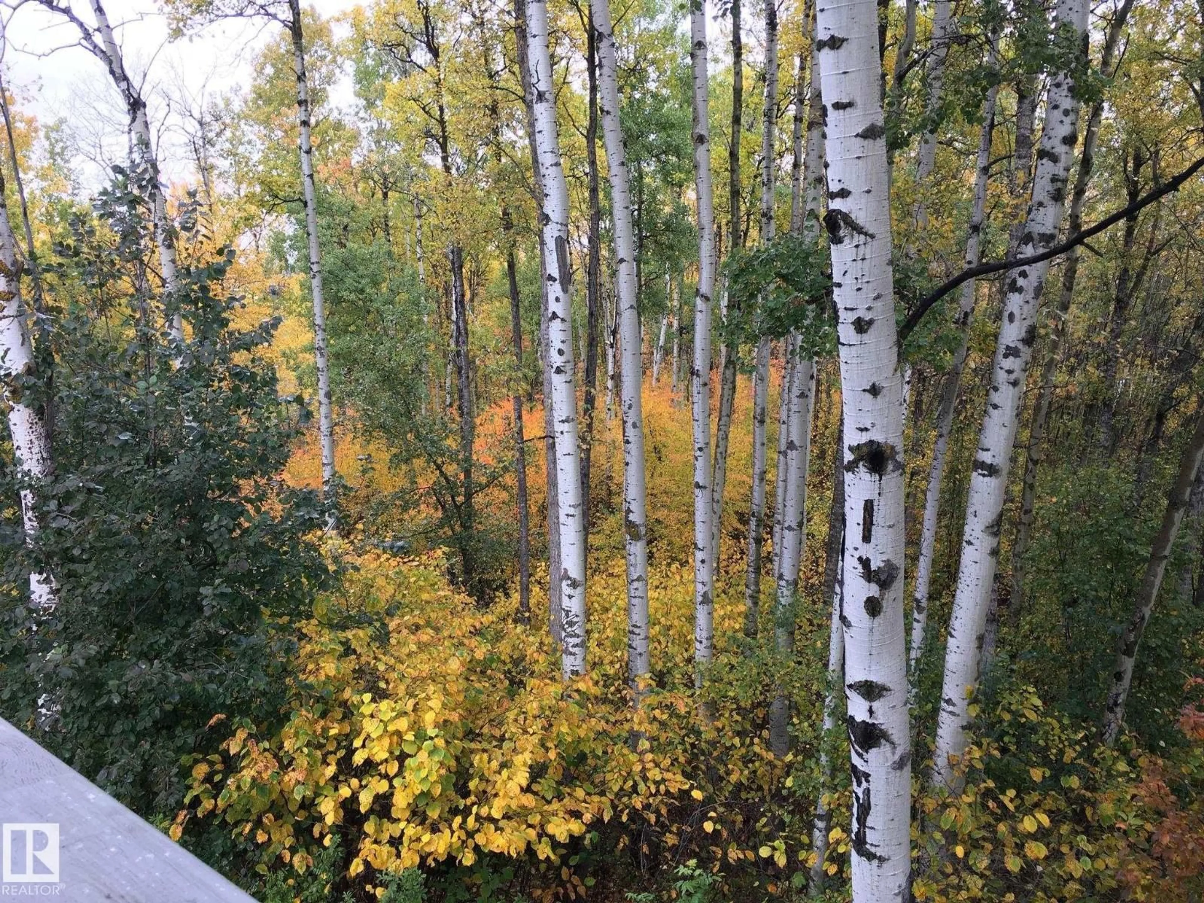 A pic from outside/outdoor area/front of a property/back of a property/a pic from drone, forest/trees view for 53319 - 112 RGE ROAD 14, Rural Parkland County Alberta T7Y0C2