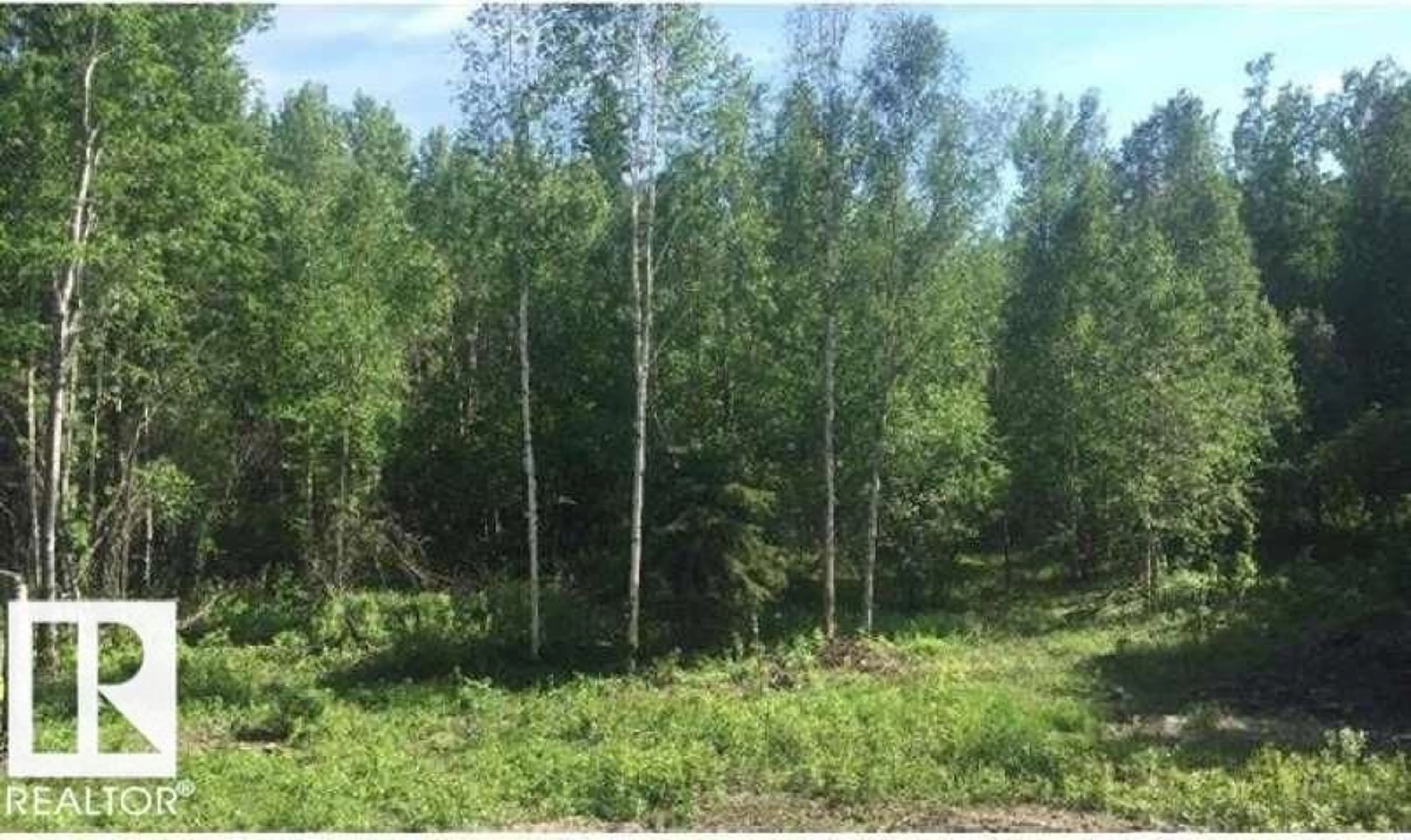A pic from outside/outdoor area/front of a property/back of a property/a pic from drone, forest/trees view for 53508 RGE ROAD 35, Rural Lac Ste. Anne County Alberta T0E1N0