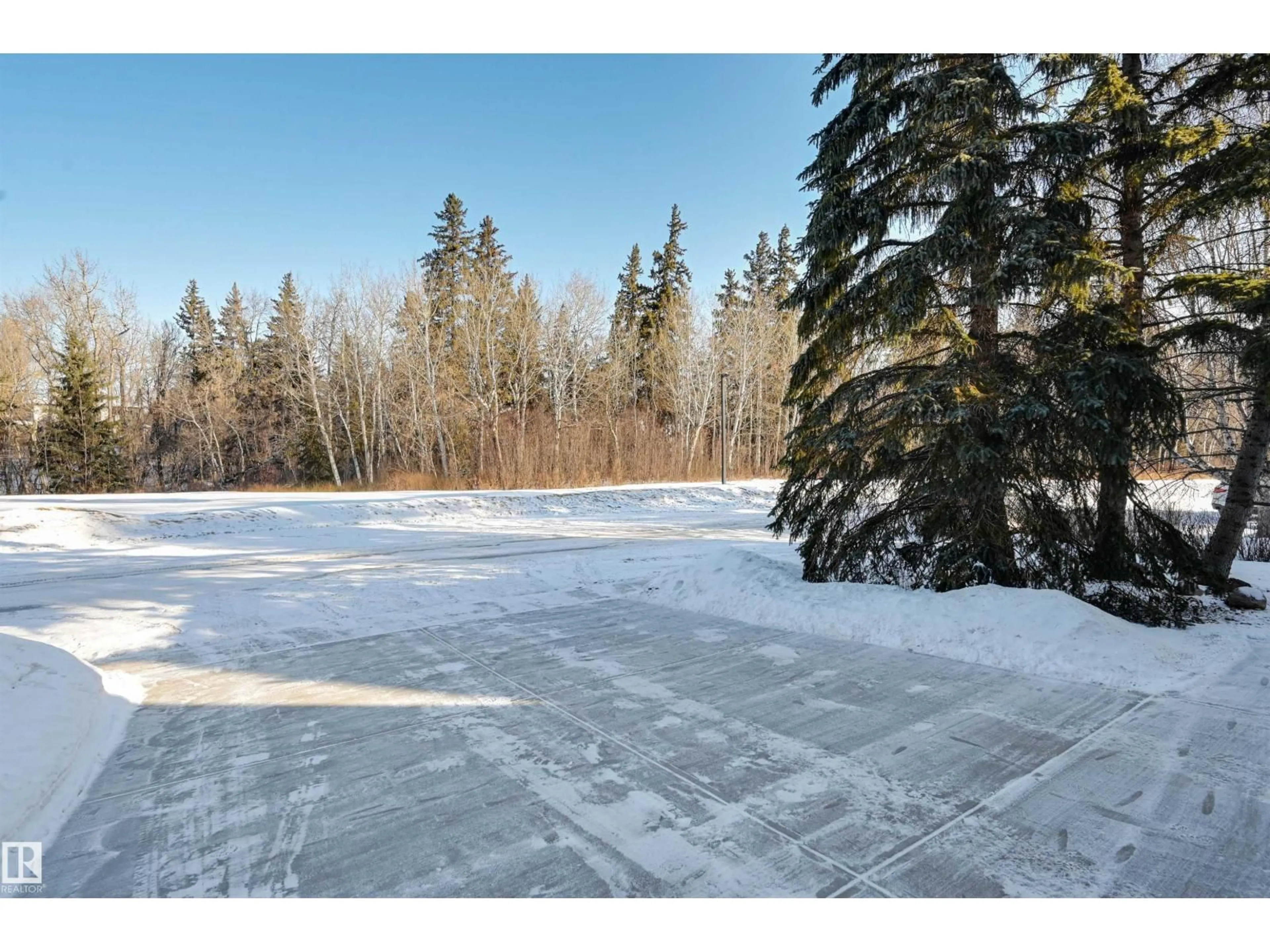 A pic from outside/outdoor area/front of a property/back of a property/a pic from drone, forest/trees view for 71 WAKINA DR, Edmonton Alberta T5T2X4