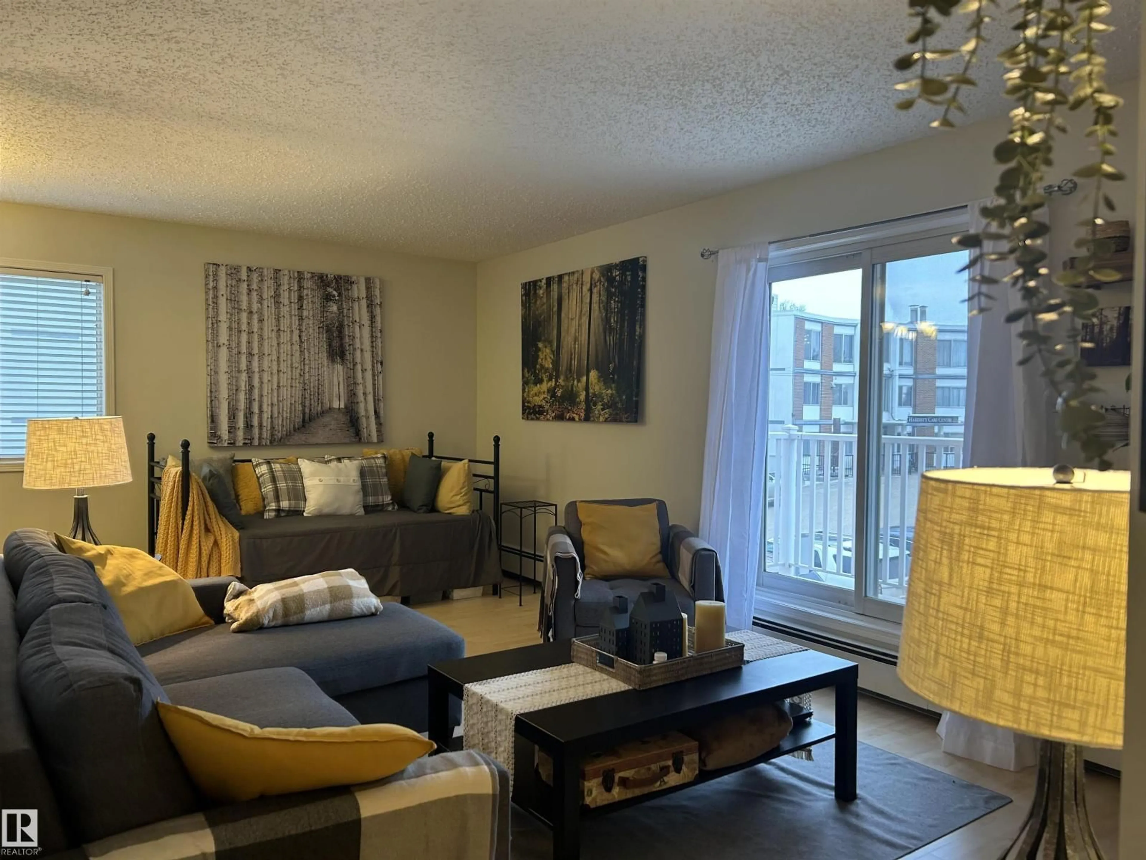 Living room with furniture, unknown for 203 - 6310 101 AV, Edmonton Alberta T6A0H5