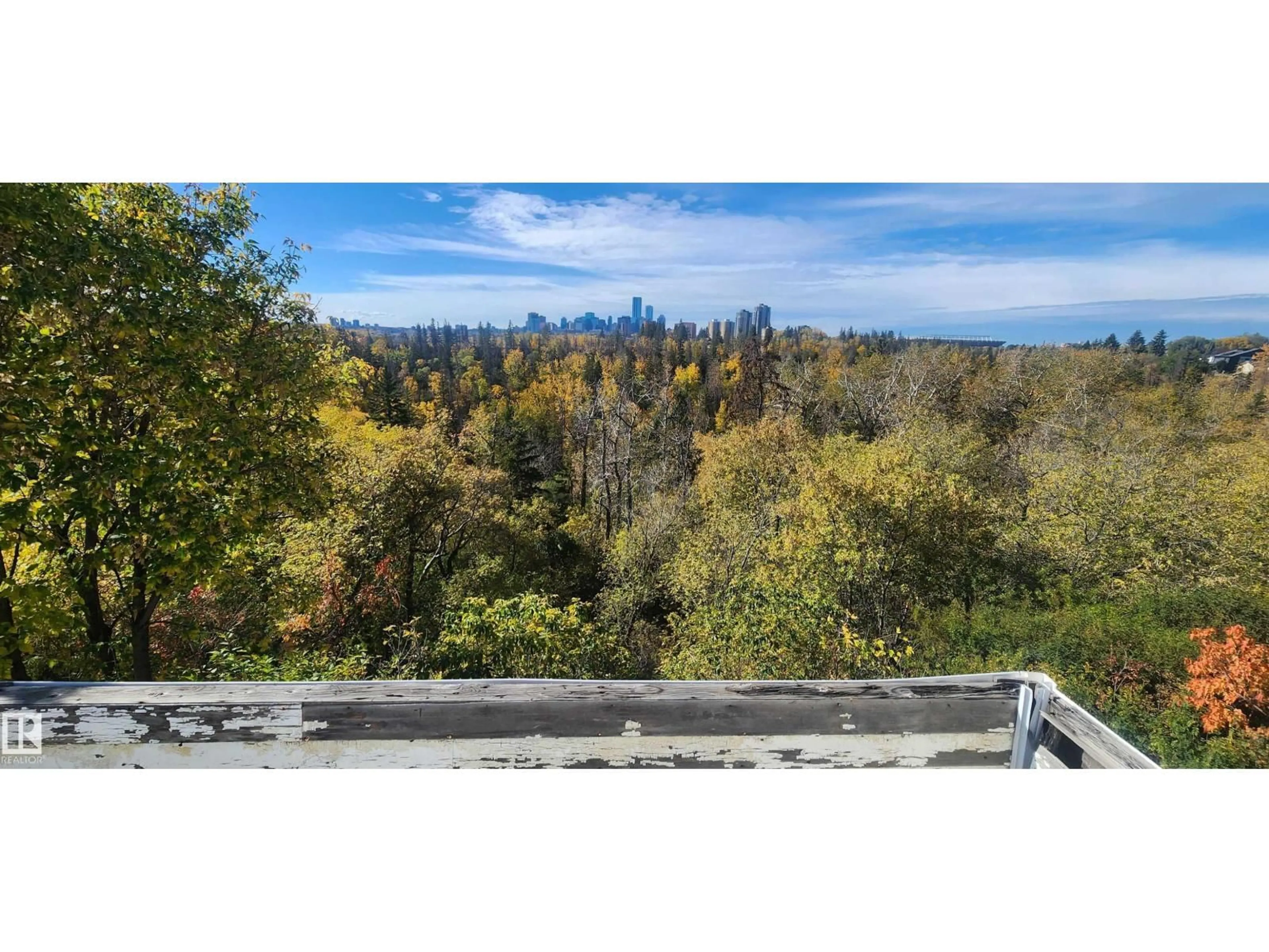 A pic from outside/outdoor area/front of a property/back of a property/a pic from drone, forest/trees view for NW - 10870 75 ST, Edmonton Alberta T5B2A9