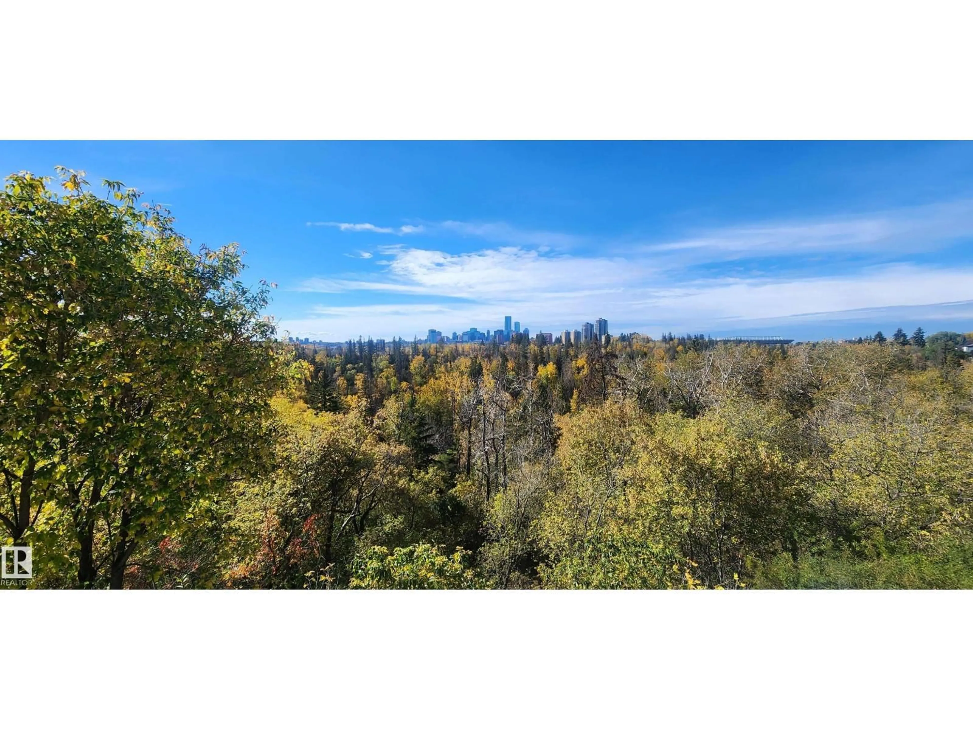 A pic from outside/outdoor area/front of a property/back of a property/a pic from drone, forest/trees view for NW - 10870 75 ST, Edmonton Alberta T5B2A9