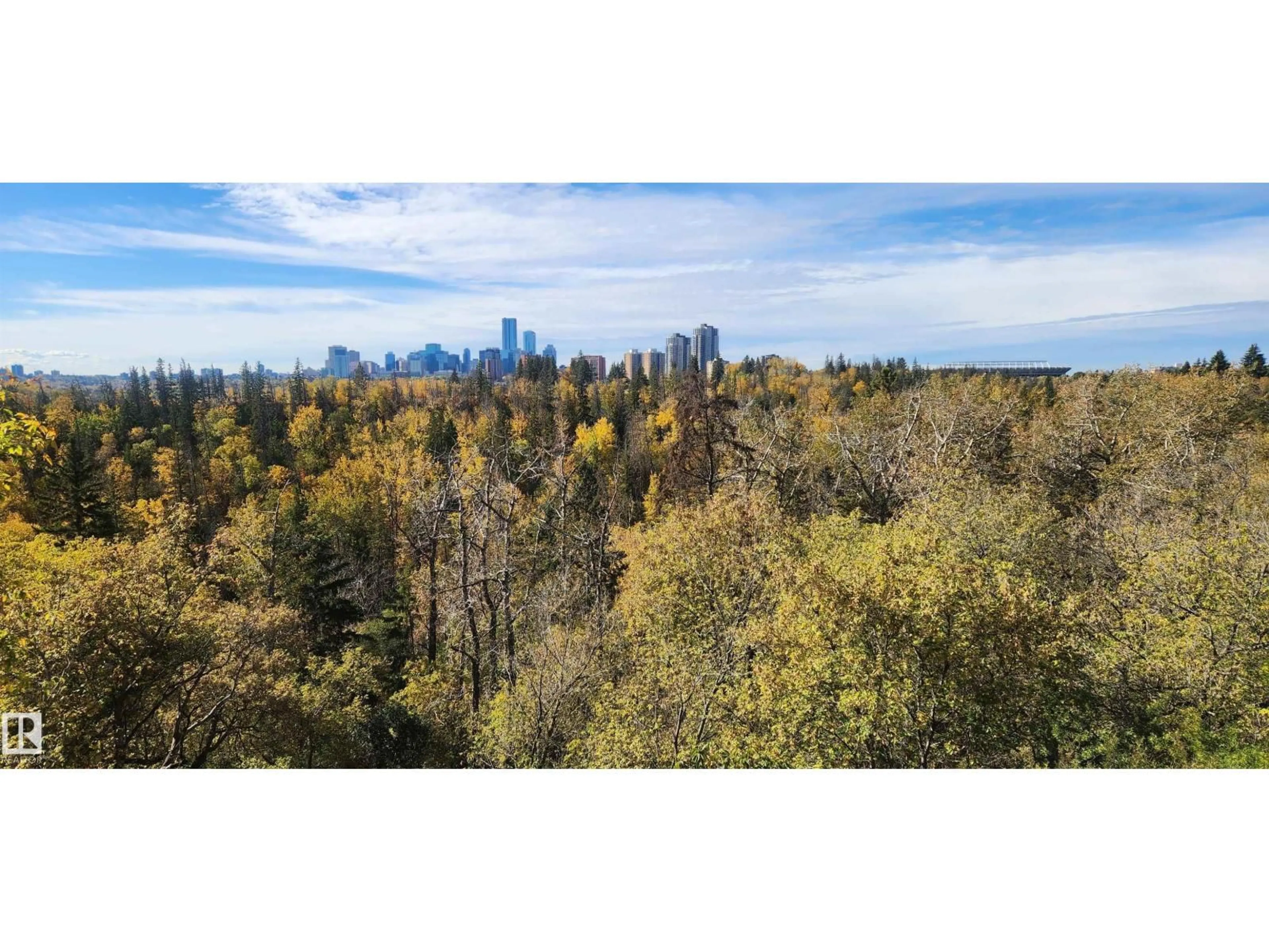 A pic from outside/outdoor area/front of a property/back of a property/a pic from drone, forest/trees view for NW - 10870 75 ST, Edmonton Alberta T5B2A9