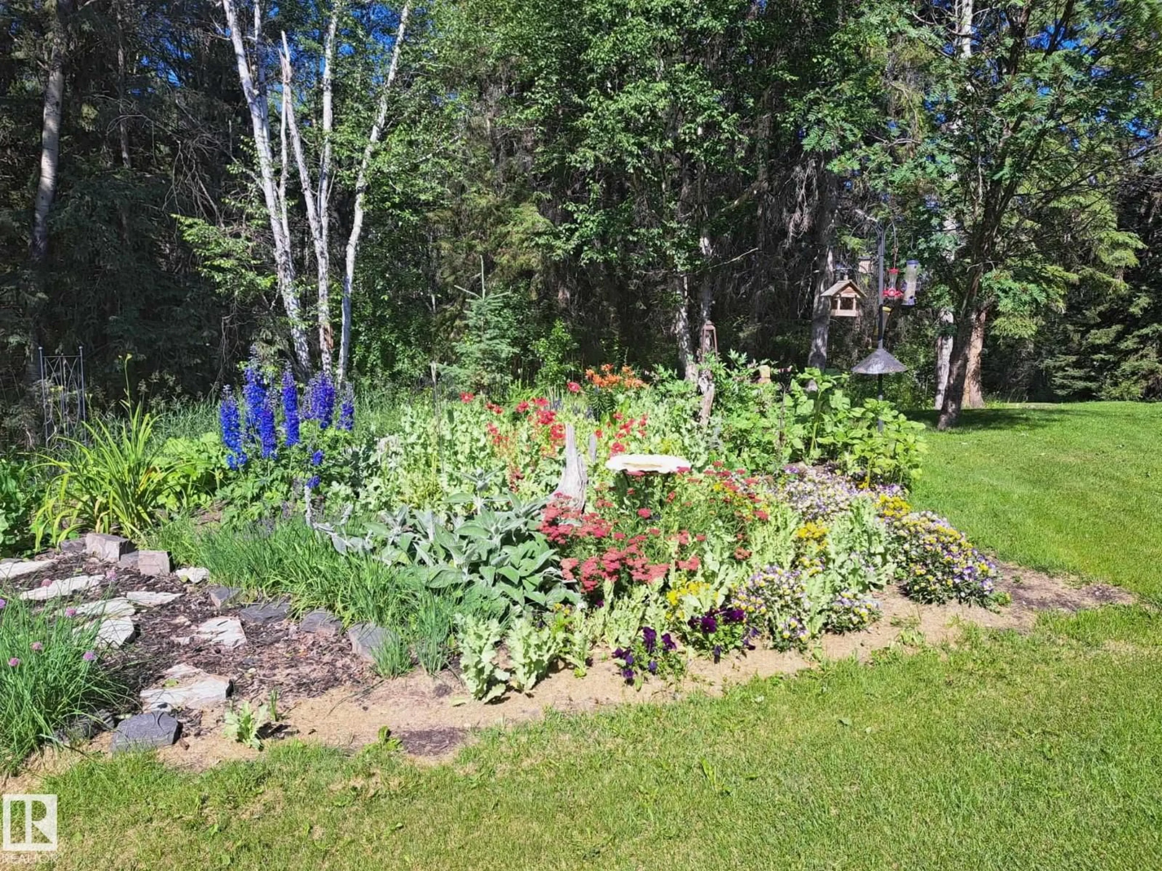 Patio, mountain view for 49308 RGE ROAD 65, Rural Brazeau County Alberta T7A1A0