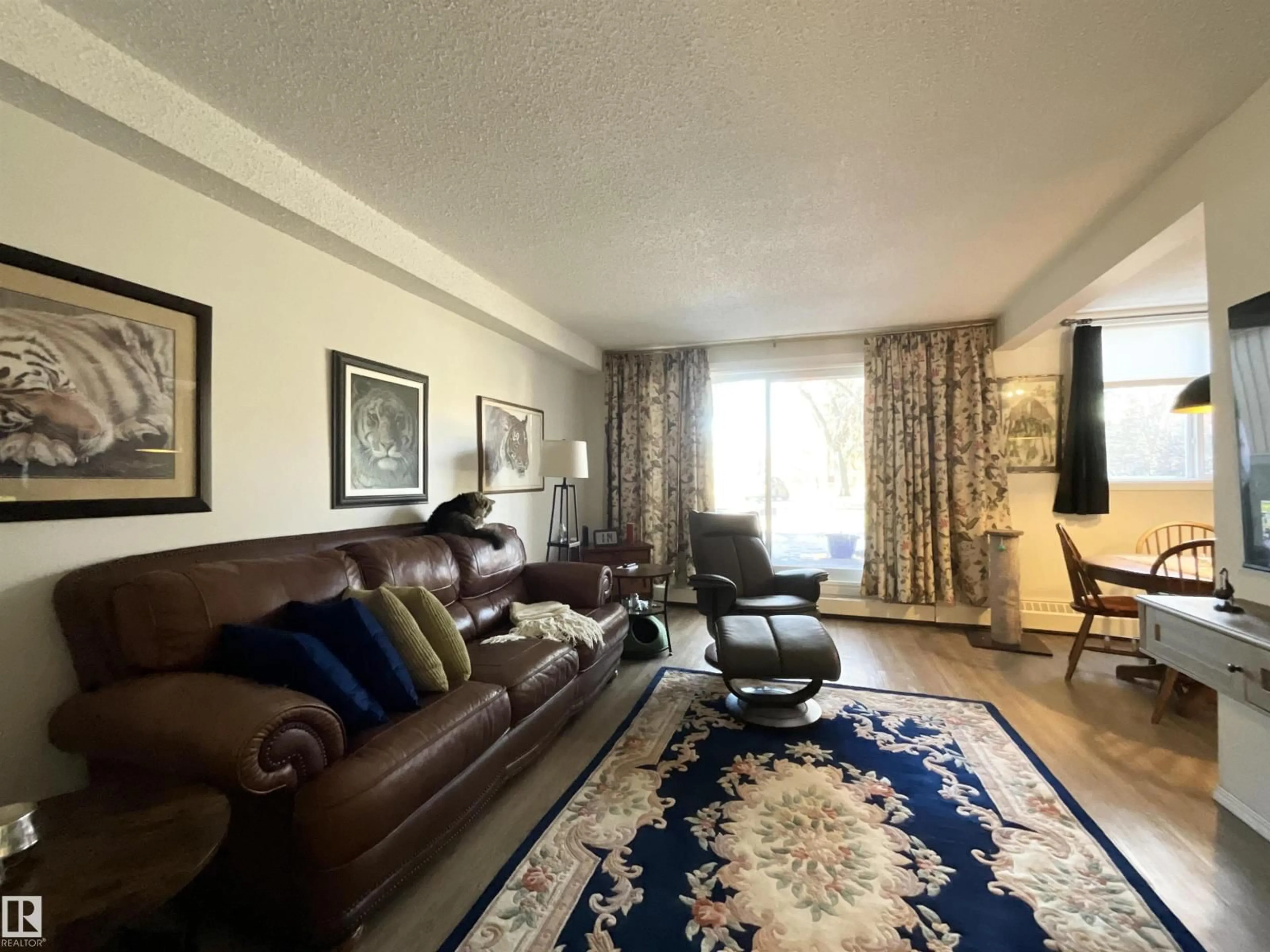 Living room with furniture, carpet floor for #101 - 11019 107 ST, Edmonton Alberta T5H2Z6