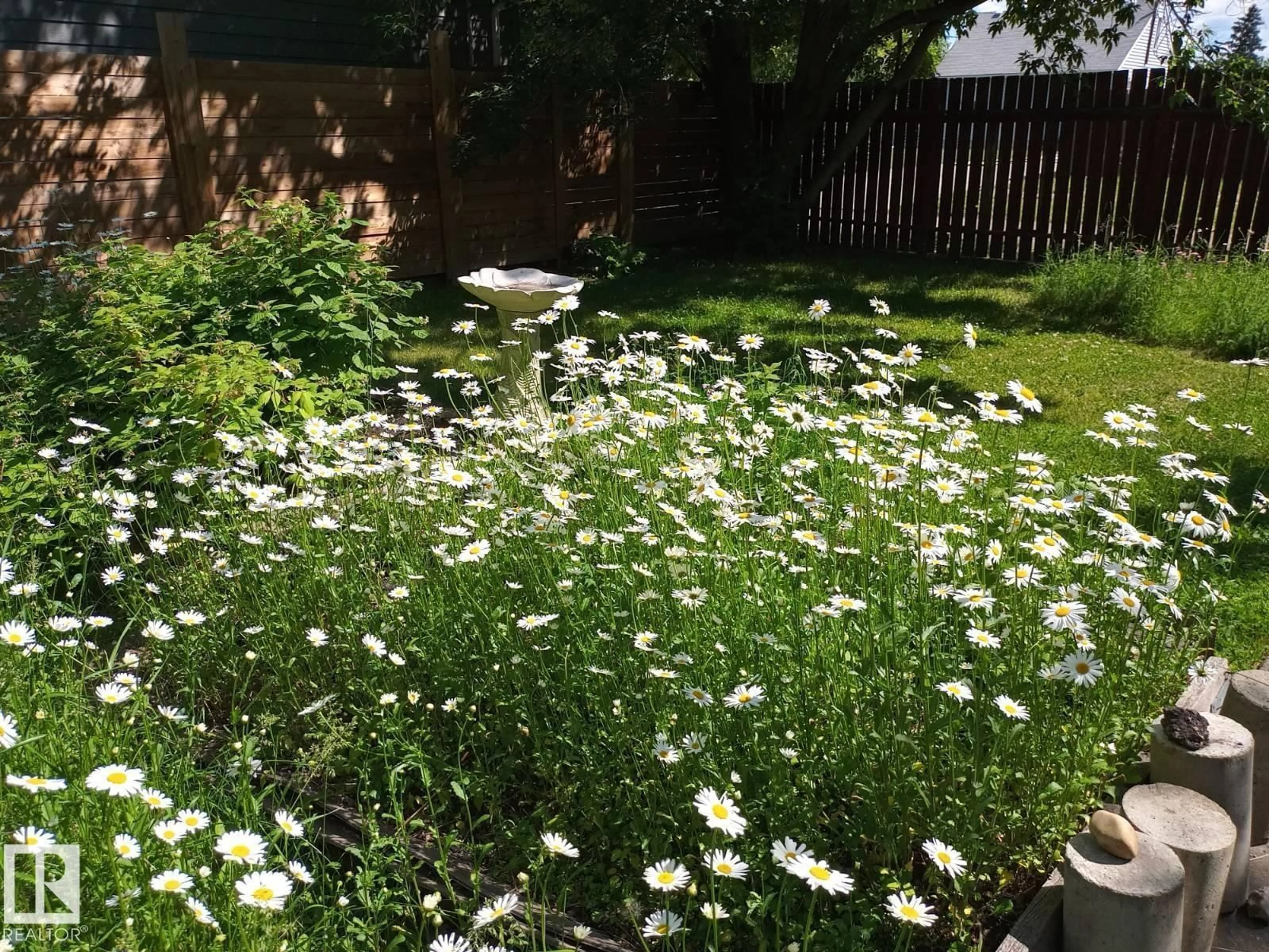 Patio, street for NW - 10915 150 ST, Edmonton Alberta T5P1R8