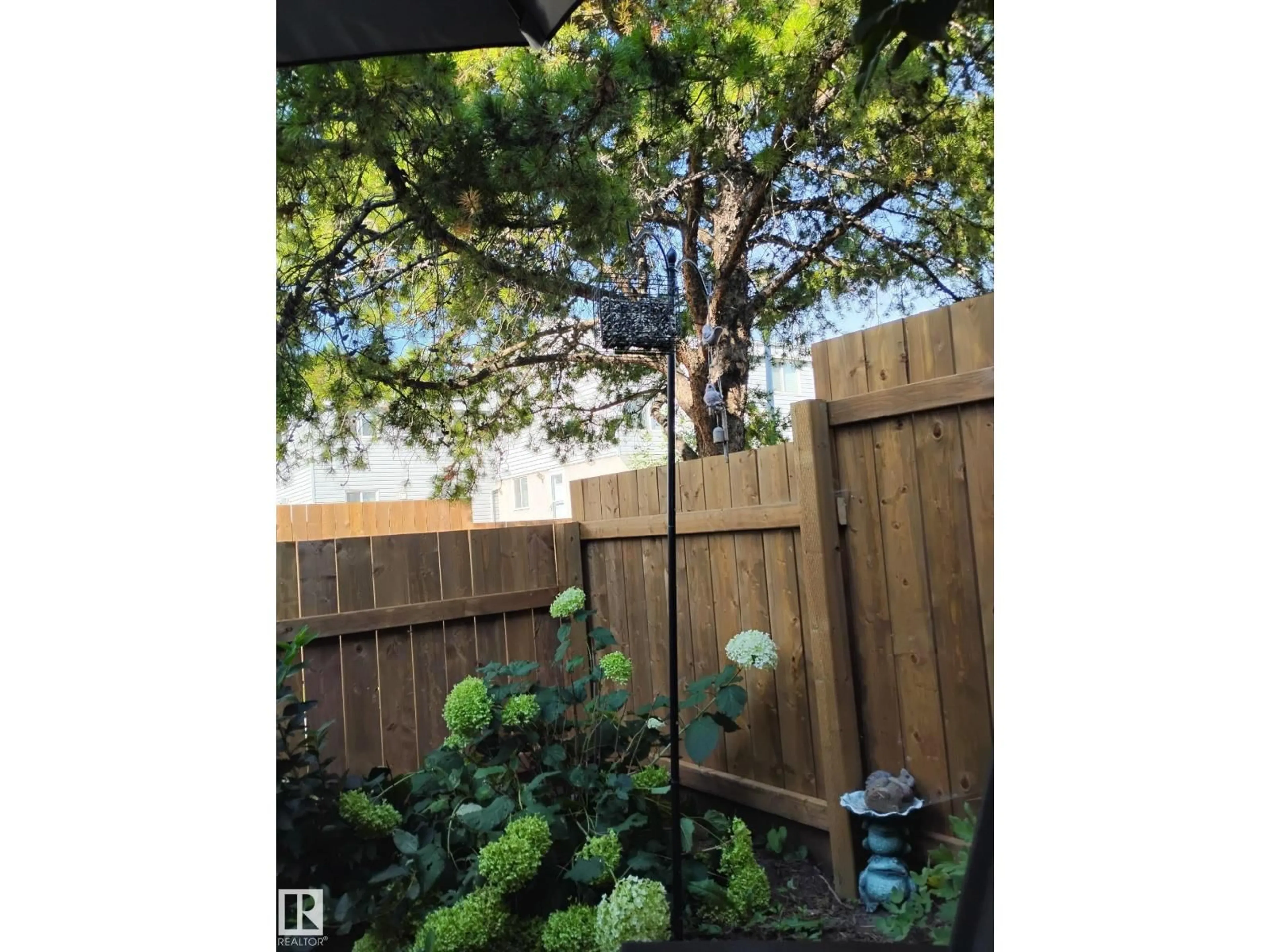 A pic from outside/outdoor area/front of a property/back of a property/a pic from drone, forest/trees view for 2 MCLEOD PL, Edmonton Alberta T5A3A8