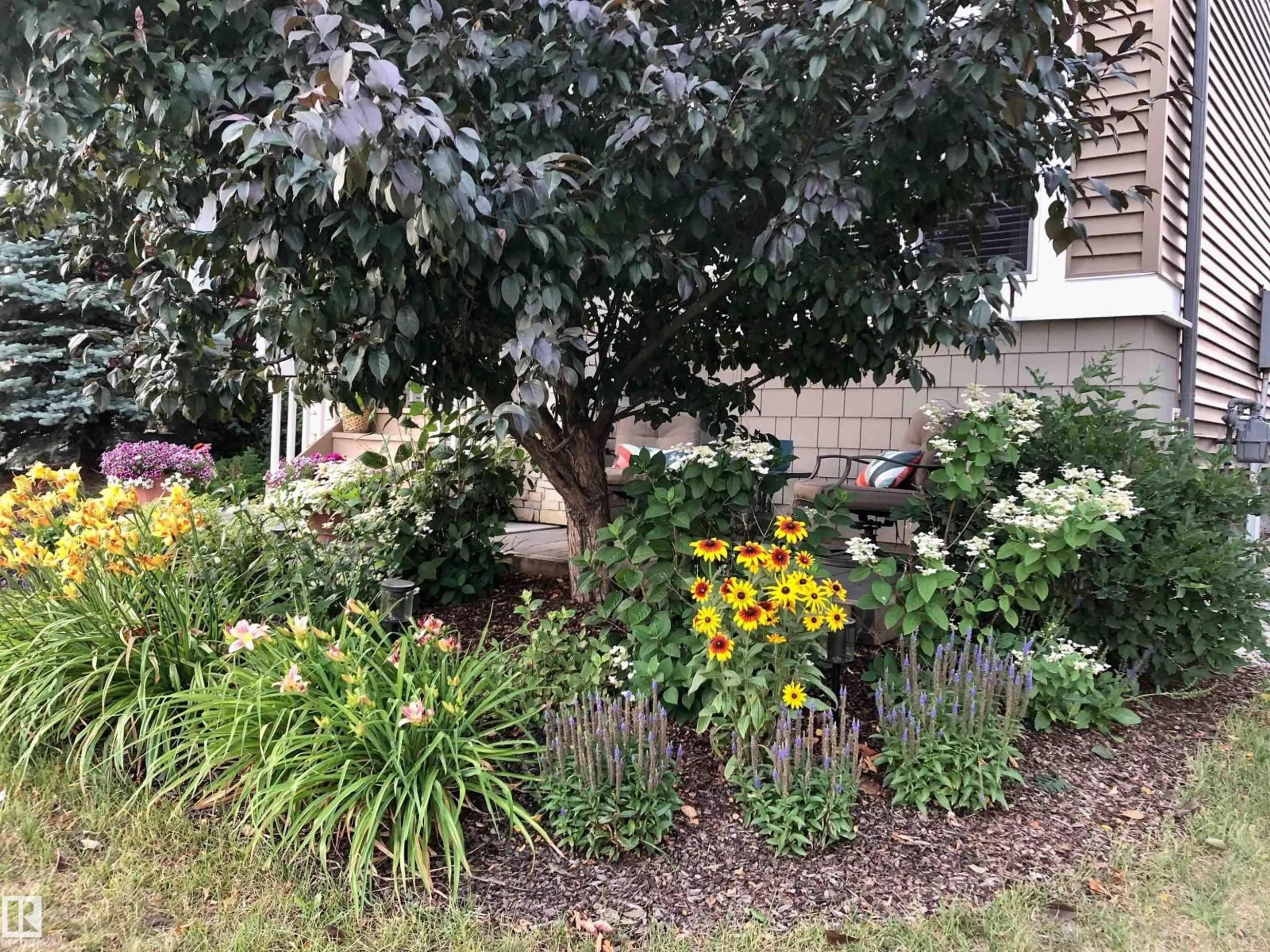 Patio, street for NW - 9084 ROSENTHAL LINK LI, Edmonton Alberta T5T7A6