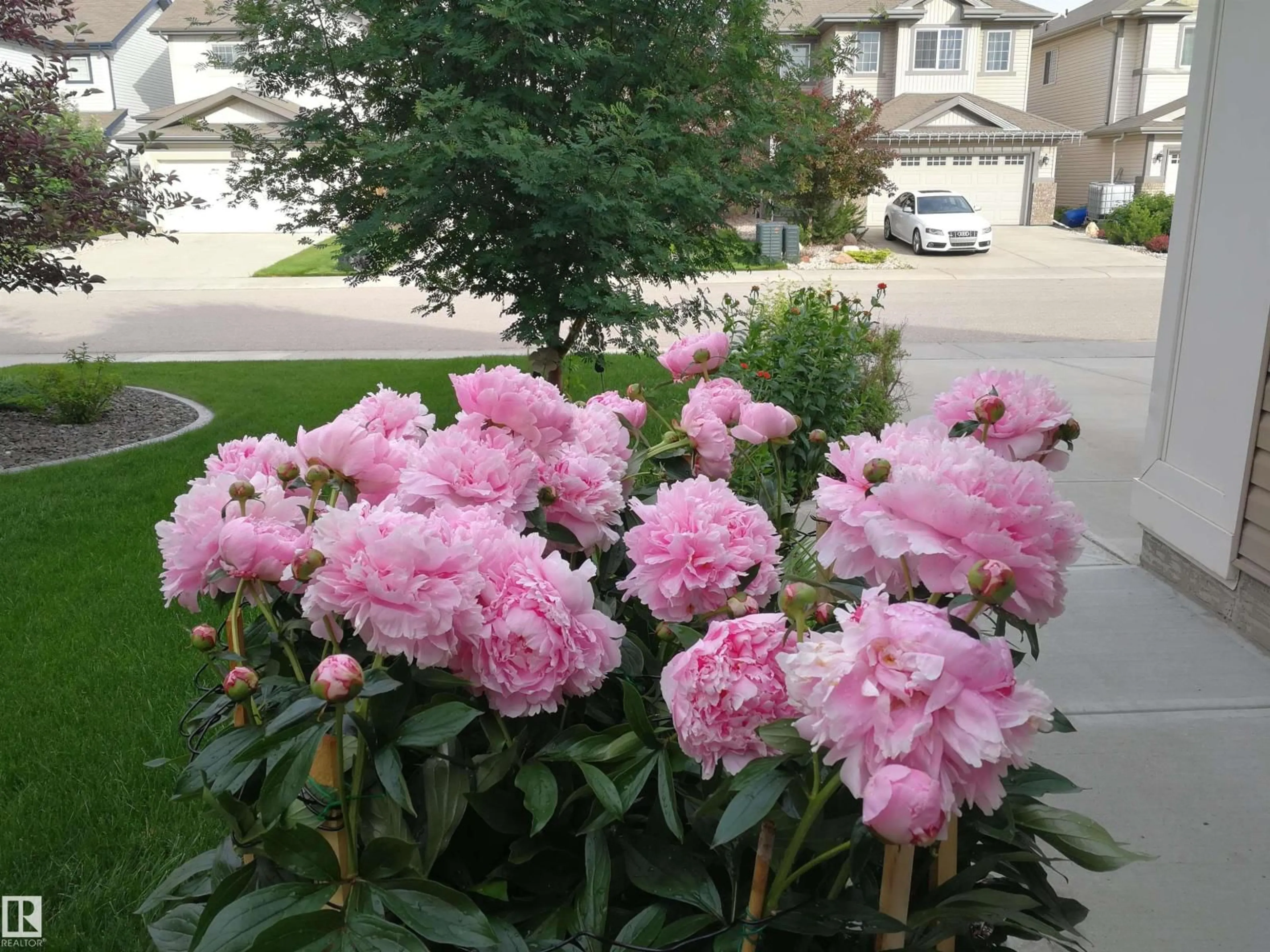 Patio, street for SW - 1330 114B ST, Edmonton Alberta T6W0G7