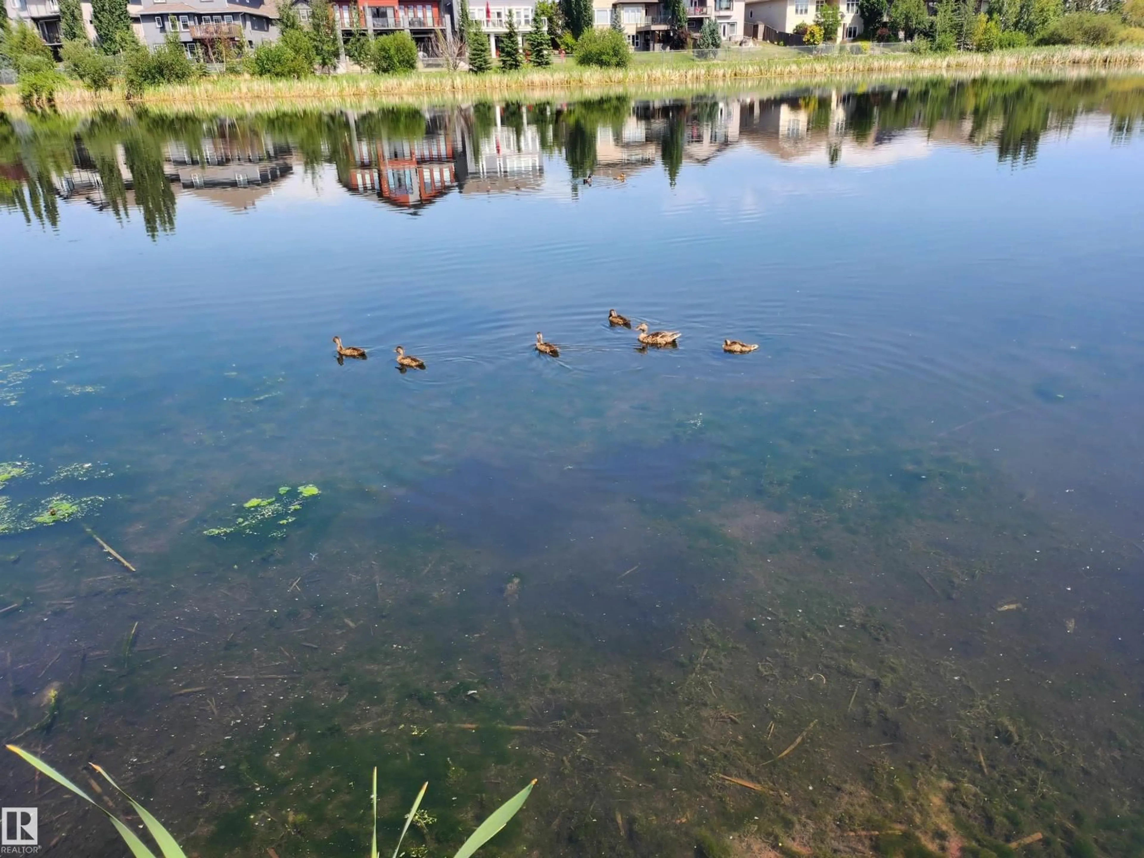 Blurry image for 466 CHURCHILL CR, Sherwood Park Alberta T8H0R9