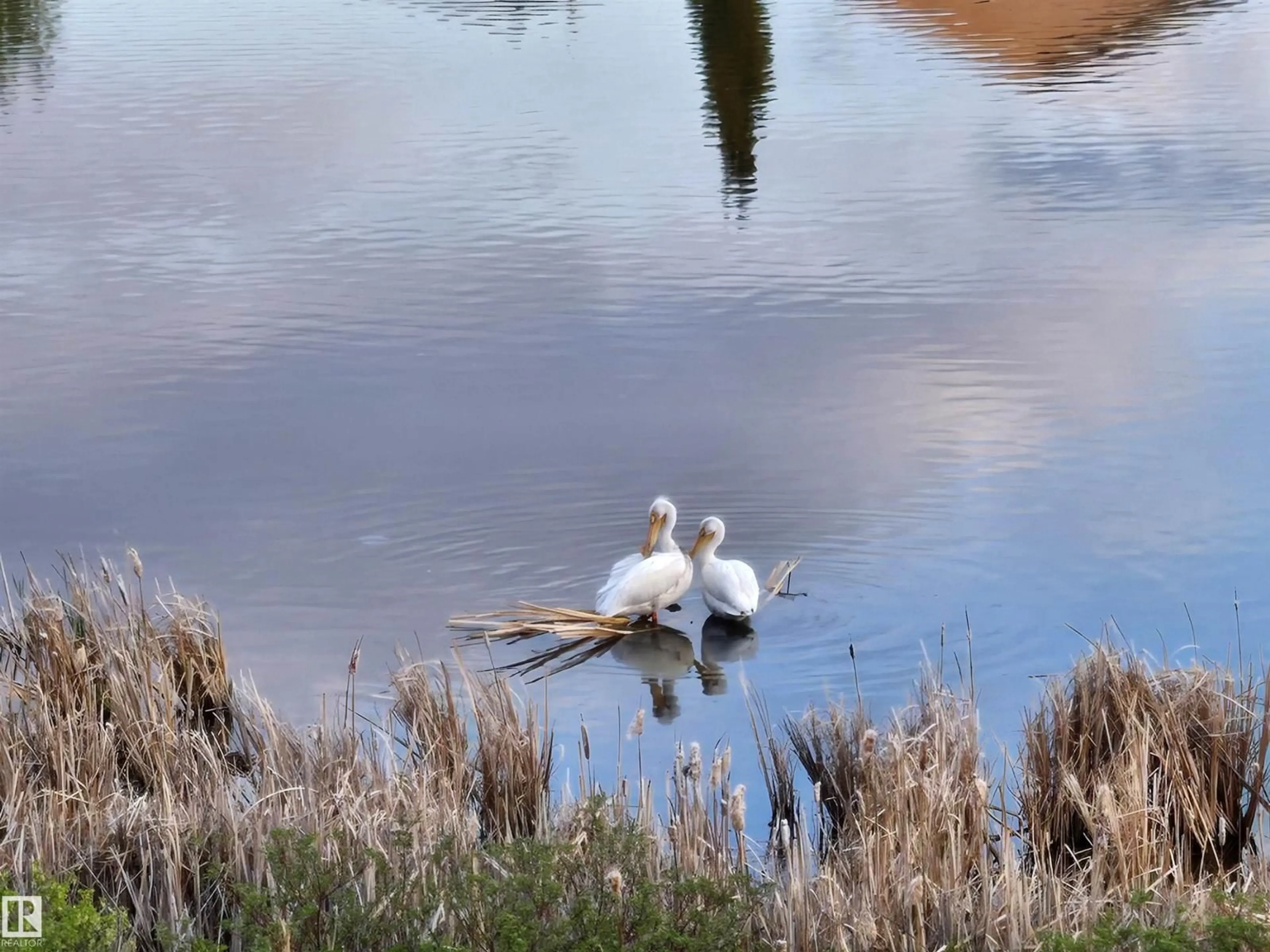 Blurry image for 466 CHURCHILL CR, Sherwood Park Alberta T8H0R9