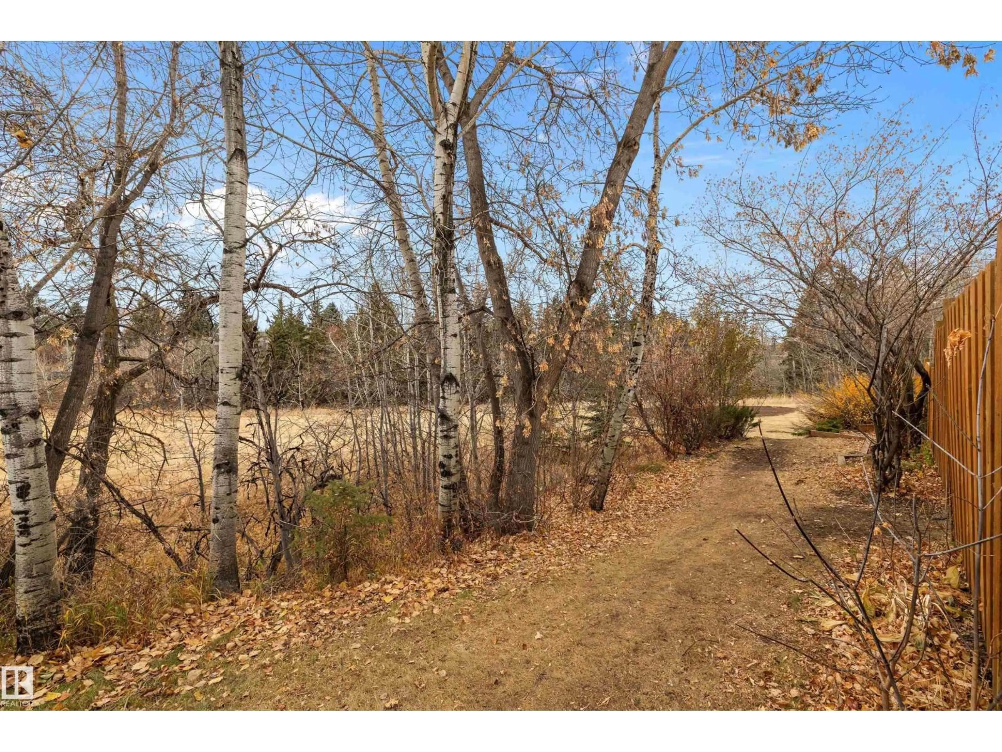 A pic from outside/outdoor area/front of a property/back of a property/a pic from drone, forest/trees view for 47 ROYAL RD, Edmonton Alberta T6J2E7