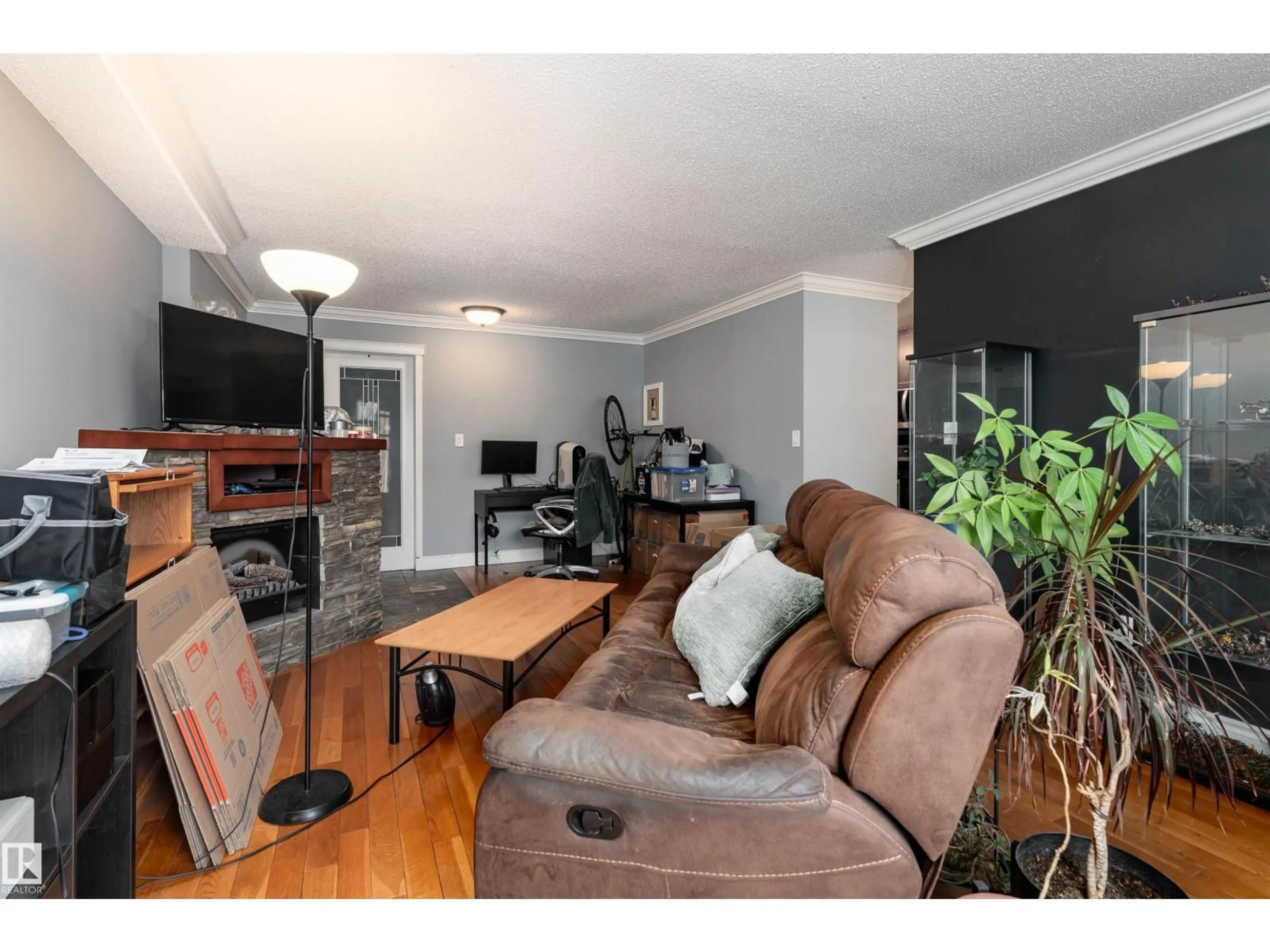 Living room with furniture, wood/laminate floor for #203 - 10003 87 AV, Edmonton Alberta T6C2T3
