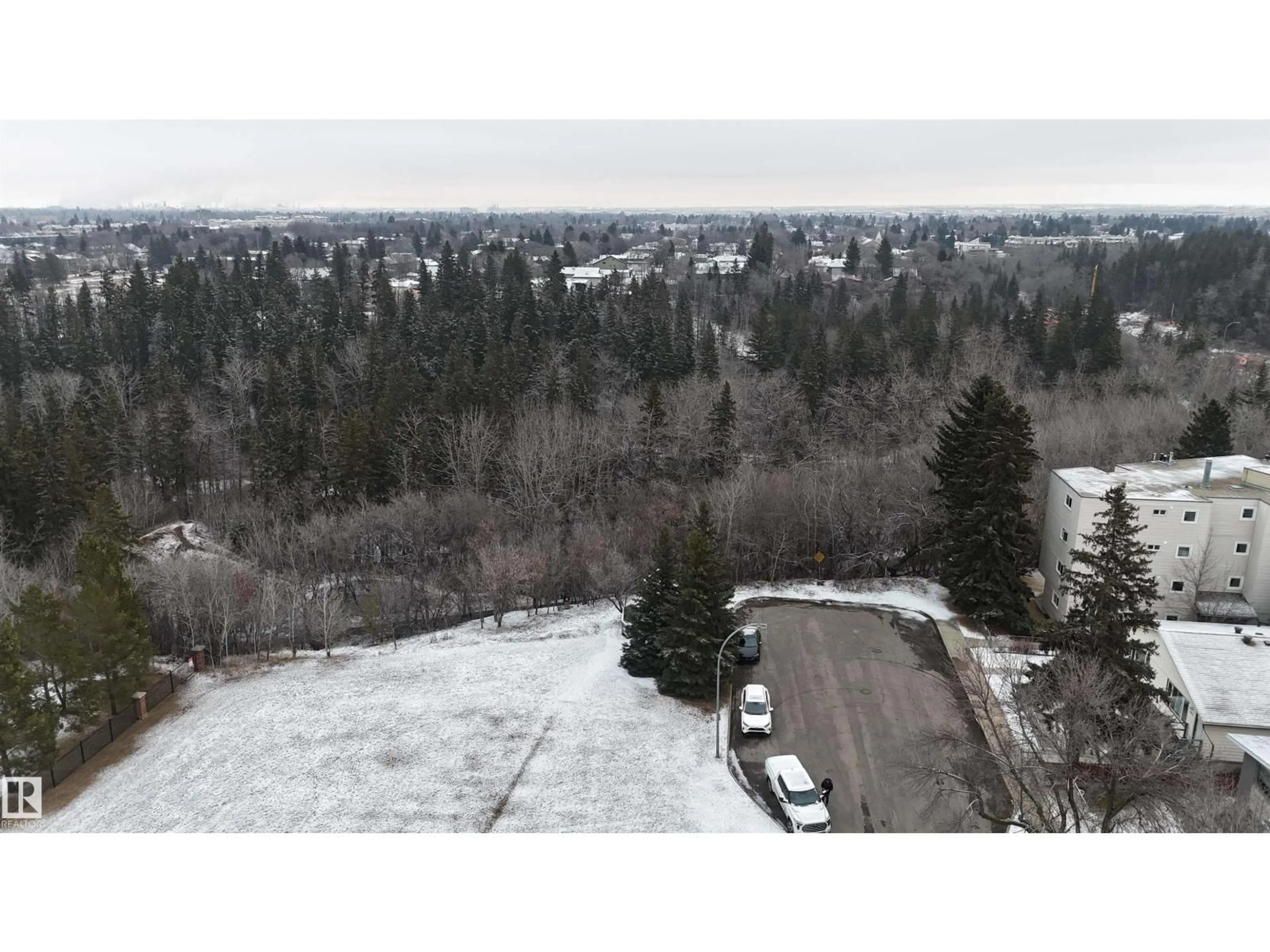 A pic from outside/outdoor area/front of a property/back of a property/a pic from drone, forest/trees view for 9541 77 AV, Edmonton Alberta T6C2M5