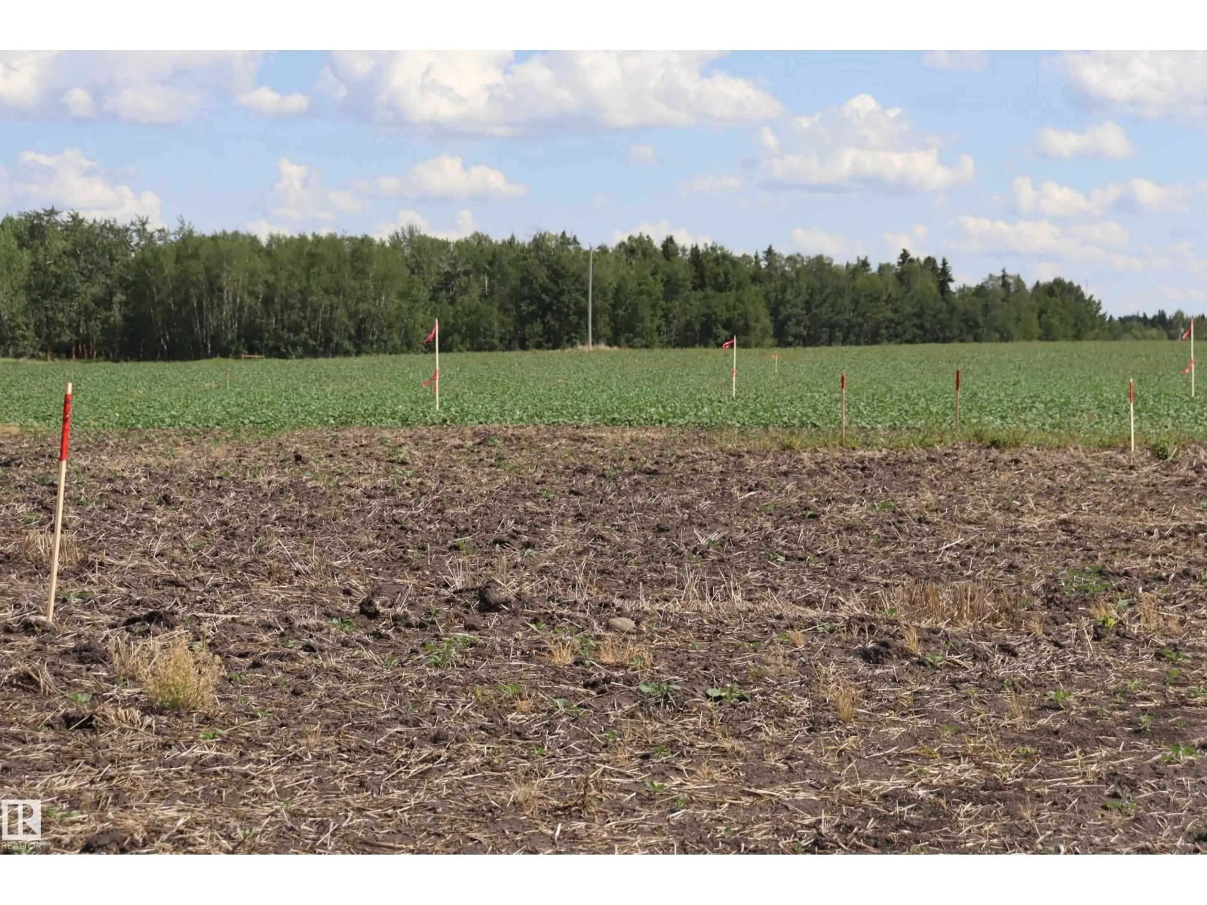 Blurry image for 214 - 49310 RGR RD RD, Rural Camrose County Alberta T0B2M2