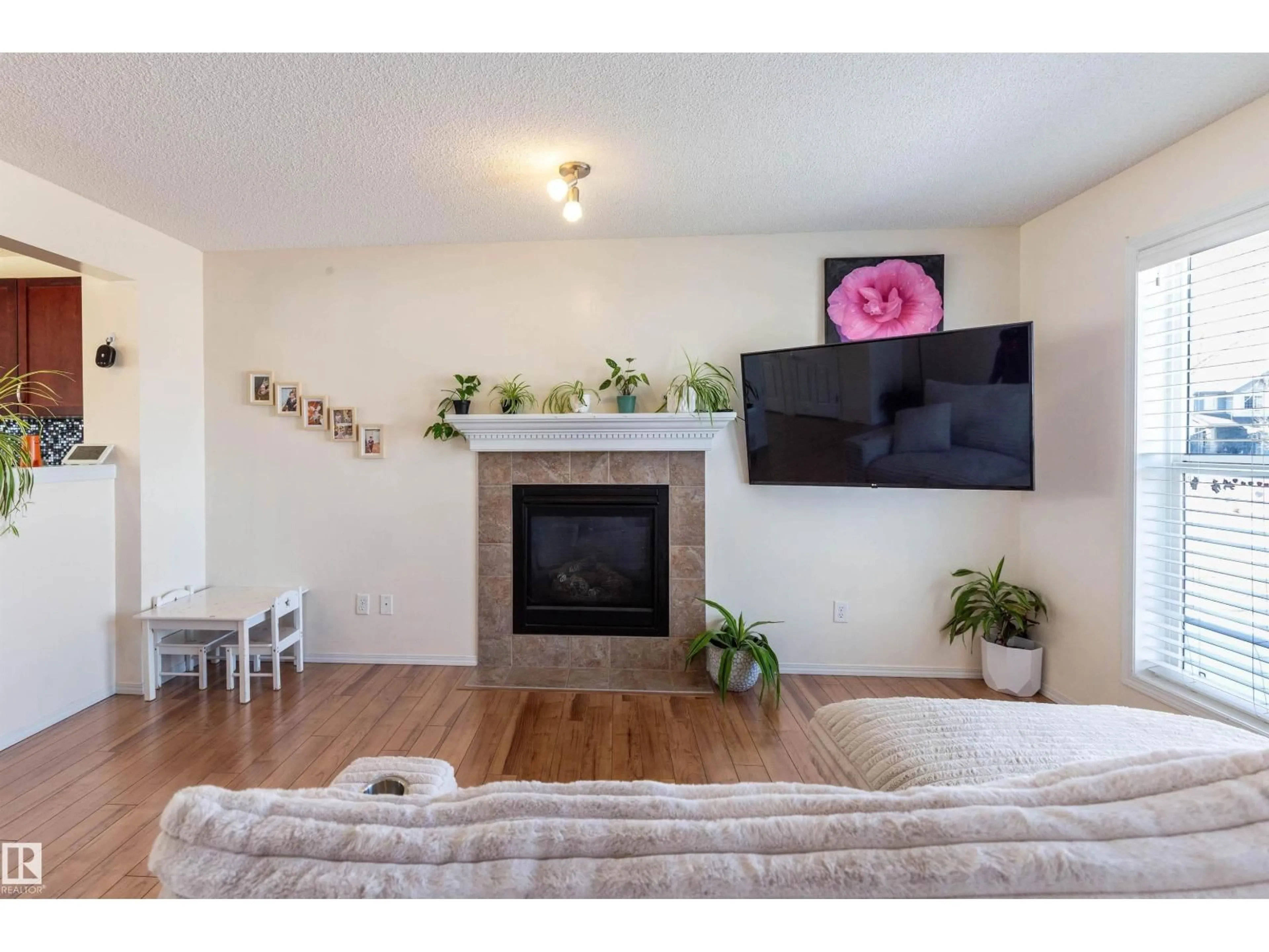 Living room with furniture, wood/laminate floor for 21313 60 AV, Edmonton Alberta T6M0H8
