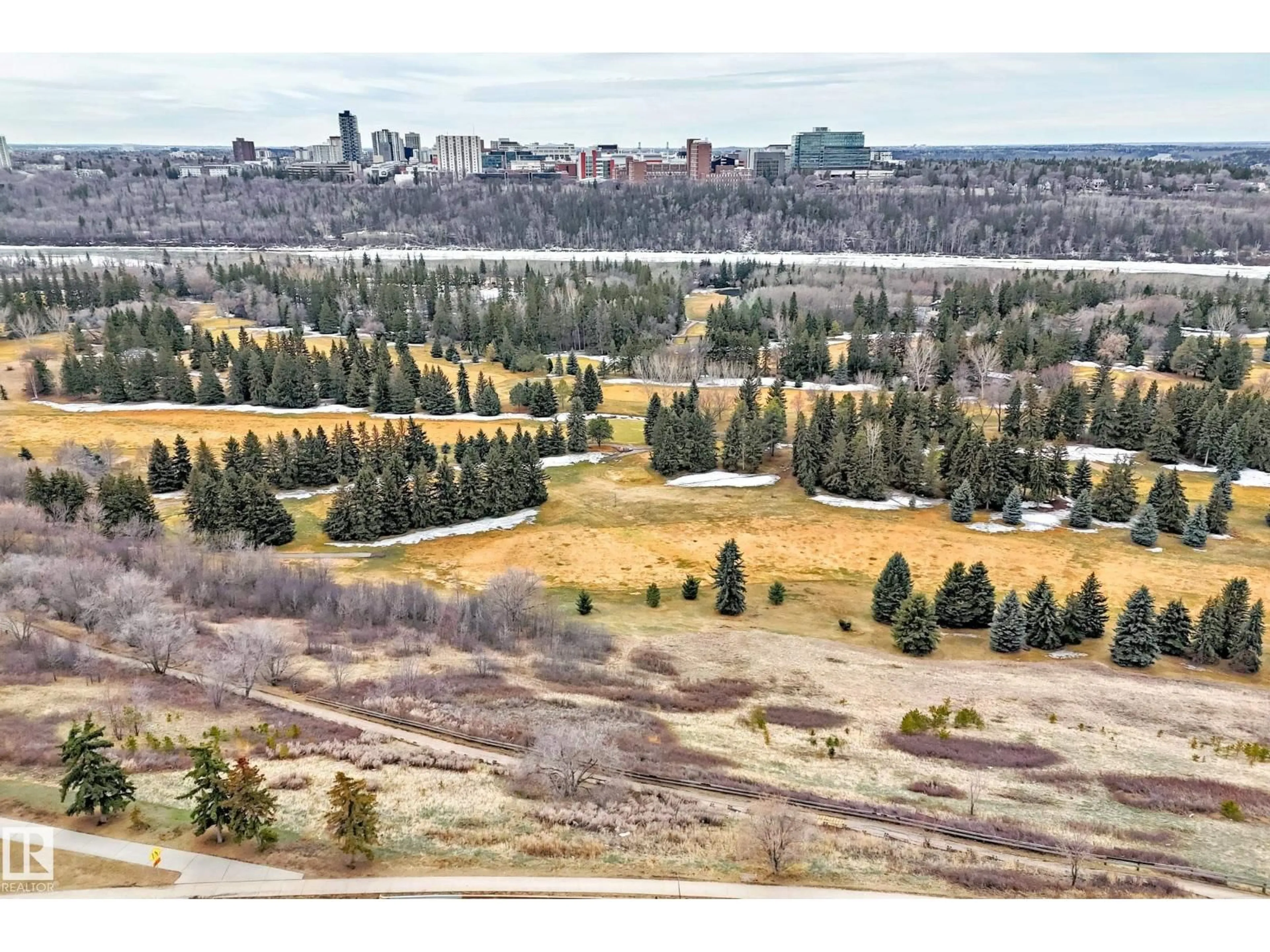 A pic from outside/outdoor area/front of a property/back of a property/a pic from drone, forest/trees view for 10011 - 716 117 ST, Edmonton Alberta T5K1W7