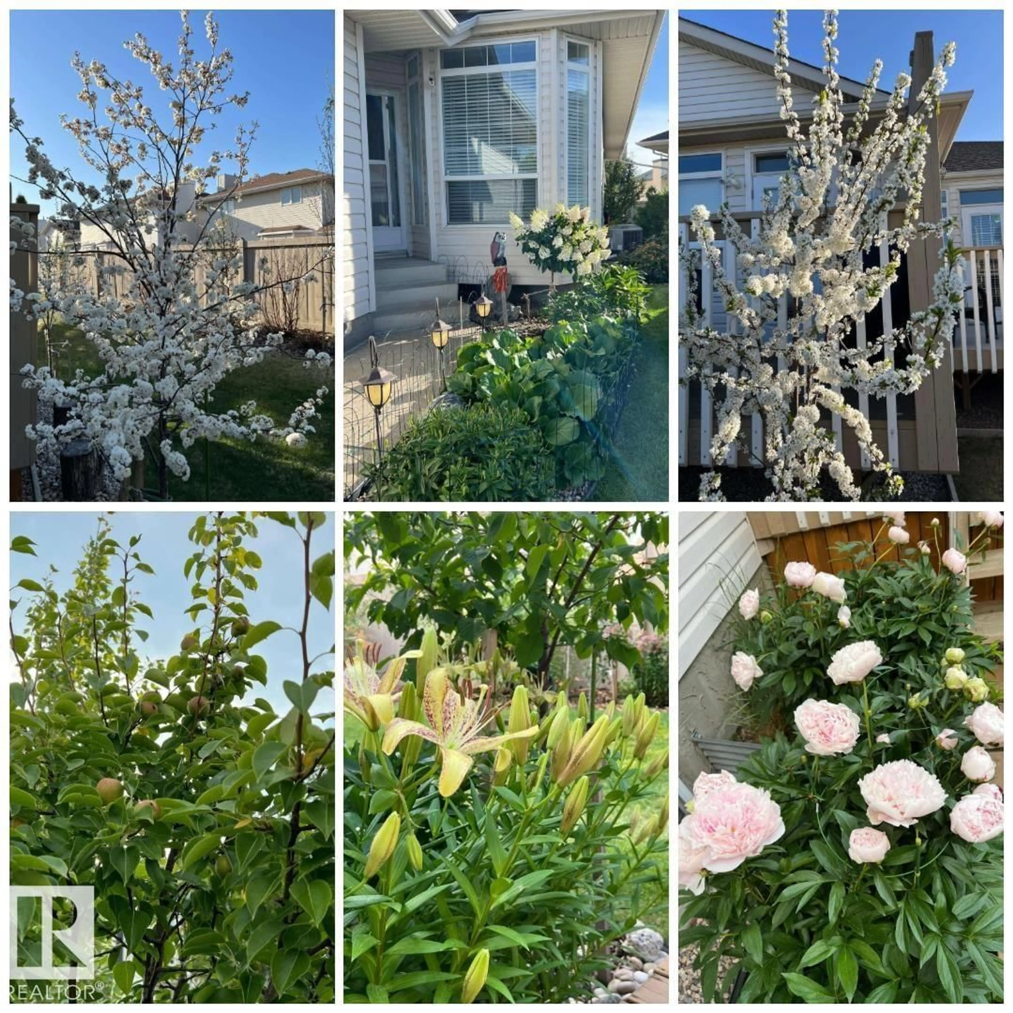 A pic from outside/outdoor area/front of a property/back of a property/a pic from drone, street for 19 - 1659 JAMHA RD, Edmonton Alberta T6L7G6