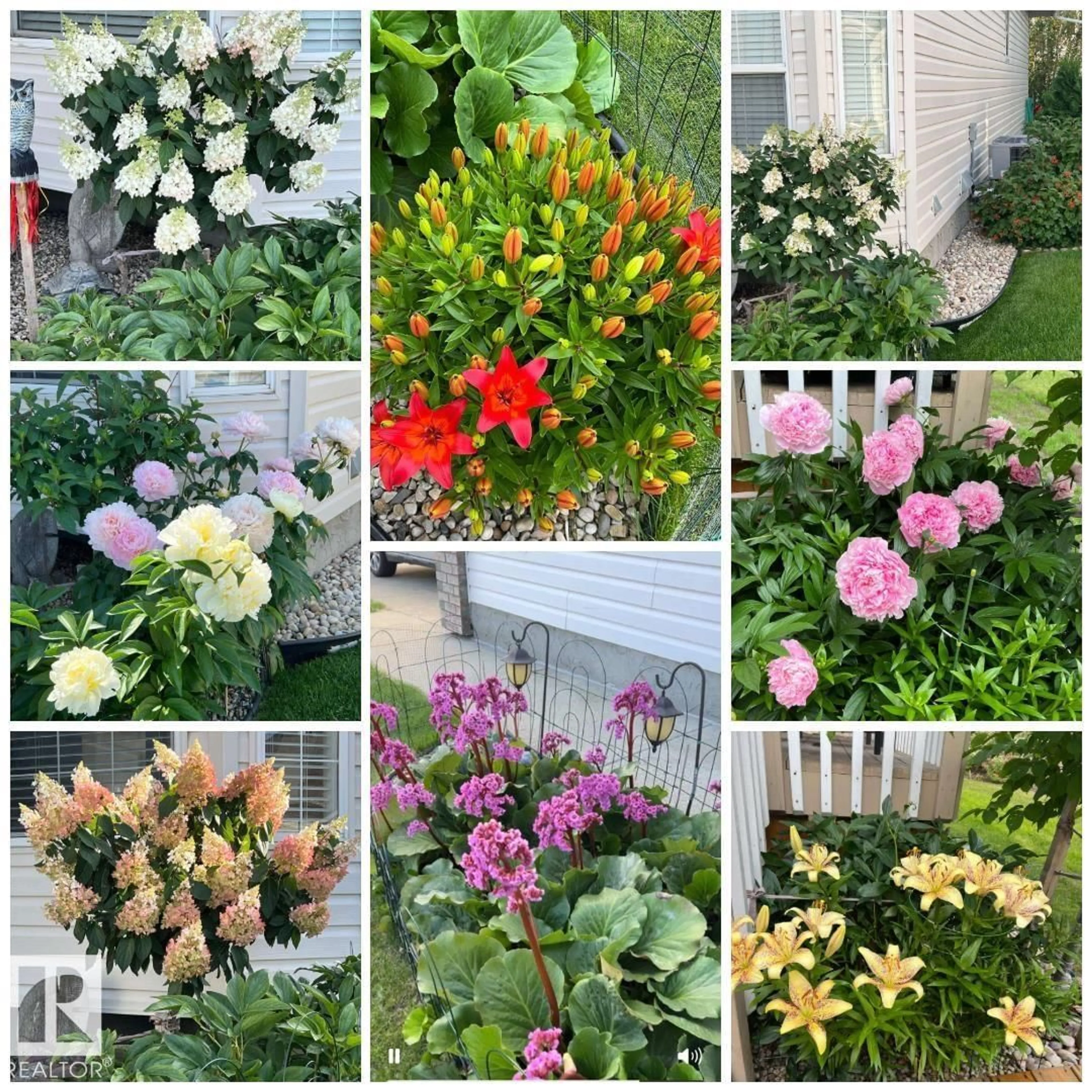 A pic from outside/outdoor area/front of a property/back of a property/a pic from drone, street for 19 - 1659 JAMHA RD, Edmonton Alberta T6L7G6