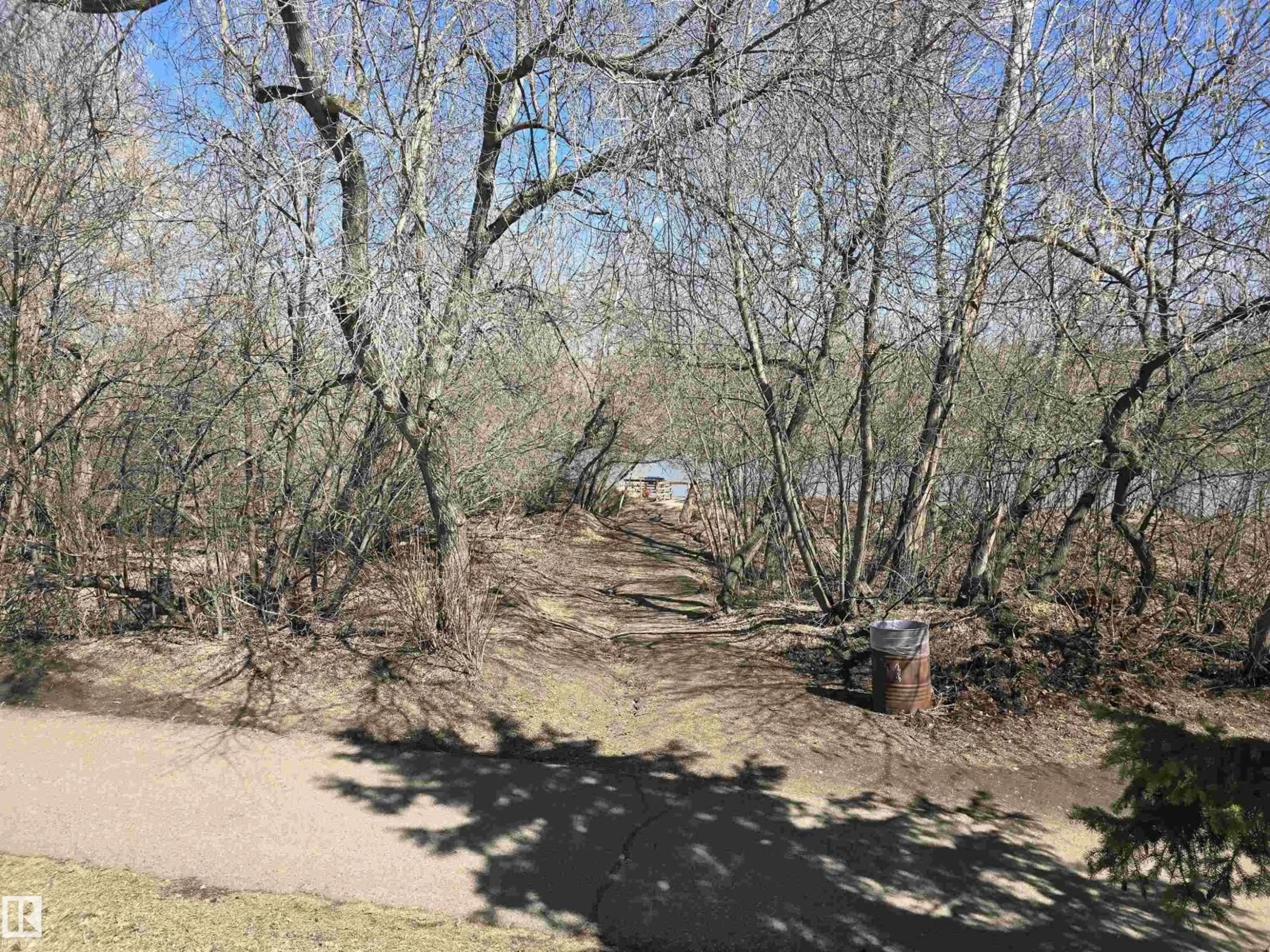 A pic from outside/outdoor area/front of a property/back of a property/a pic from drone, forest/trees view for 10282 87 ST, Edmonton Alberta T5H1N6