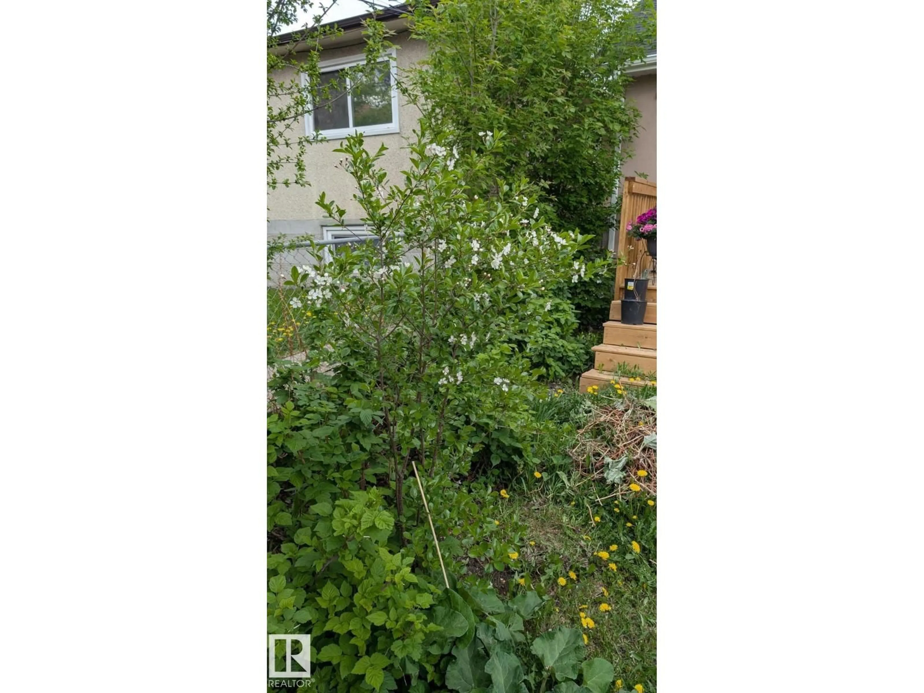Blurry image for 11724 88 STREET, Edmonton Alberta T5B3R7
