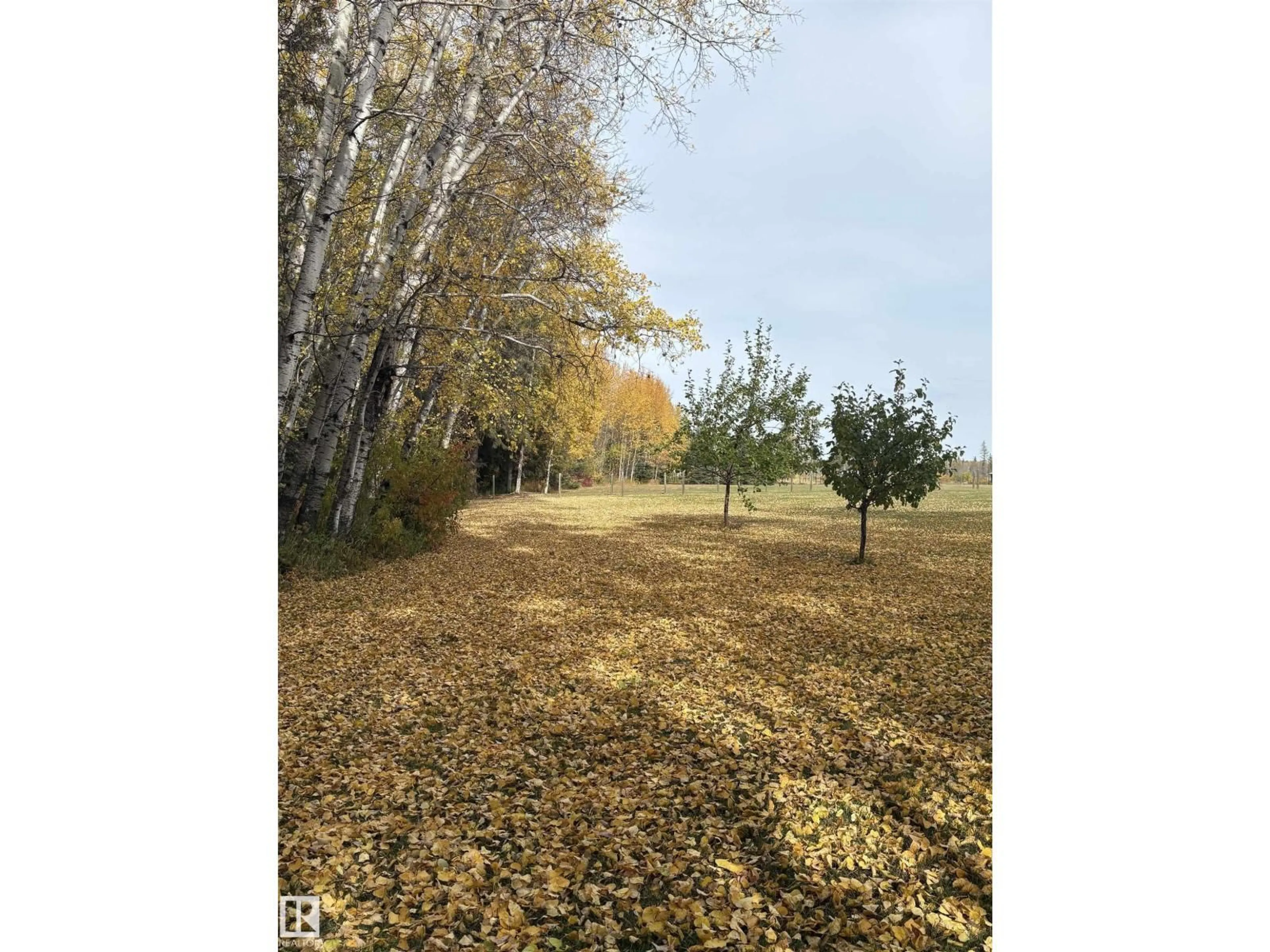 Blurry image for 63102 RR 415, Rural Bonnyville M.D. Alberta T9M1P2
