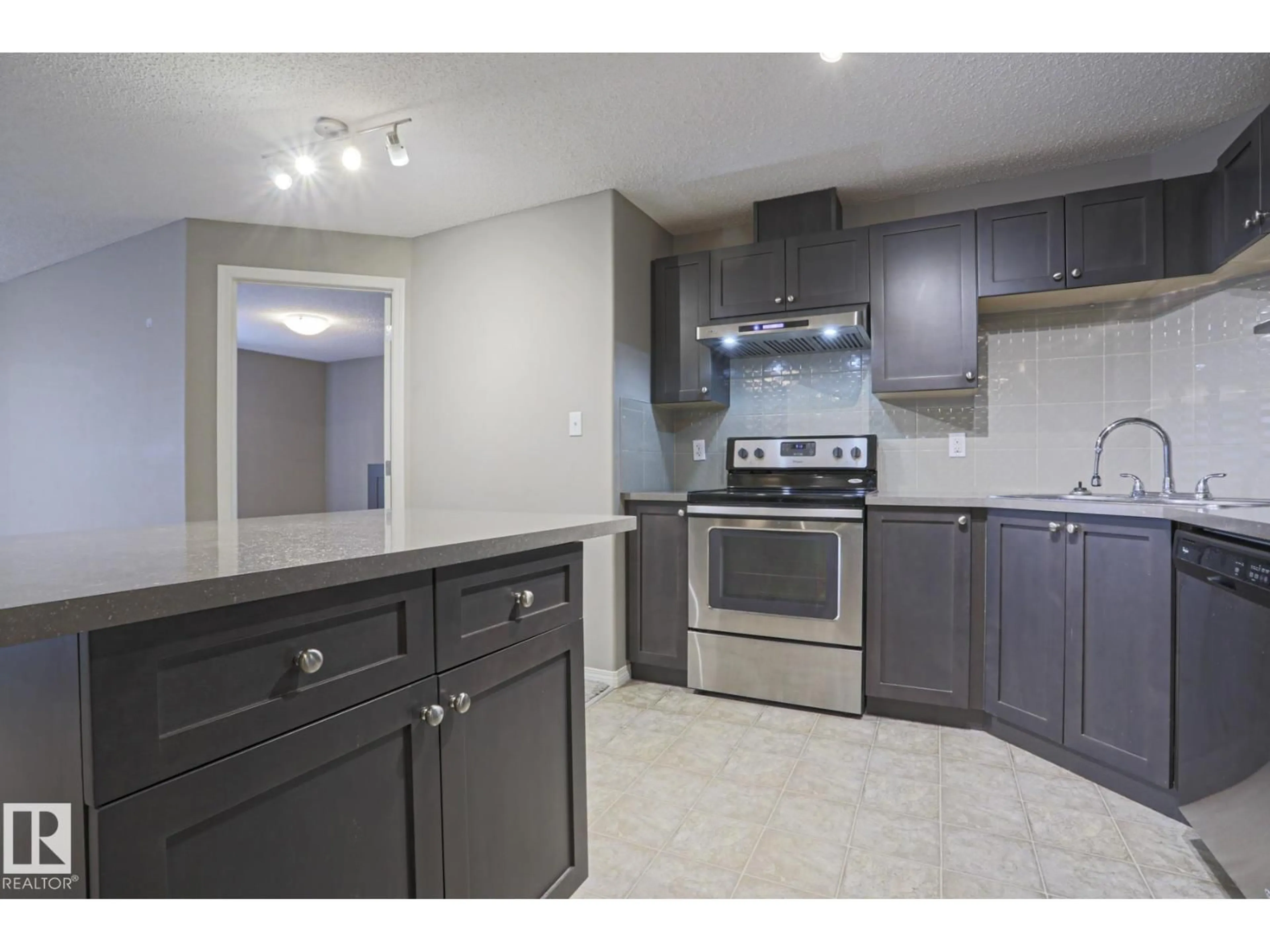 Standard kitchen, unknown for #201 - 1520 HAMMOND GATE GA, Edmonton Alberta T6M0J4