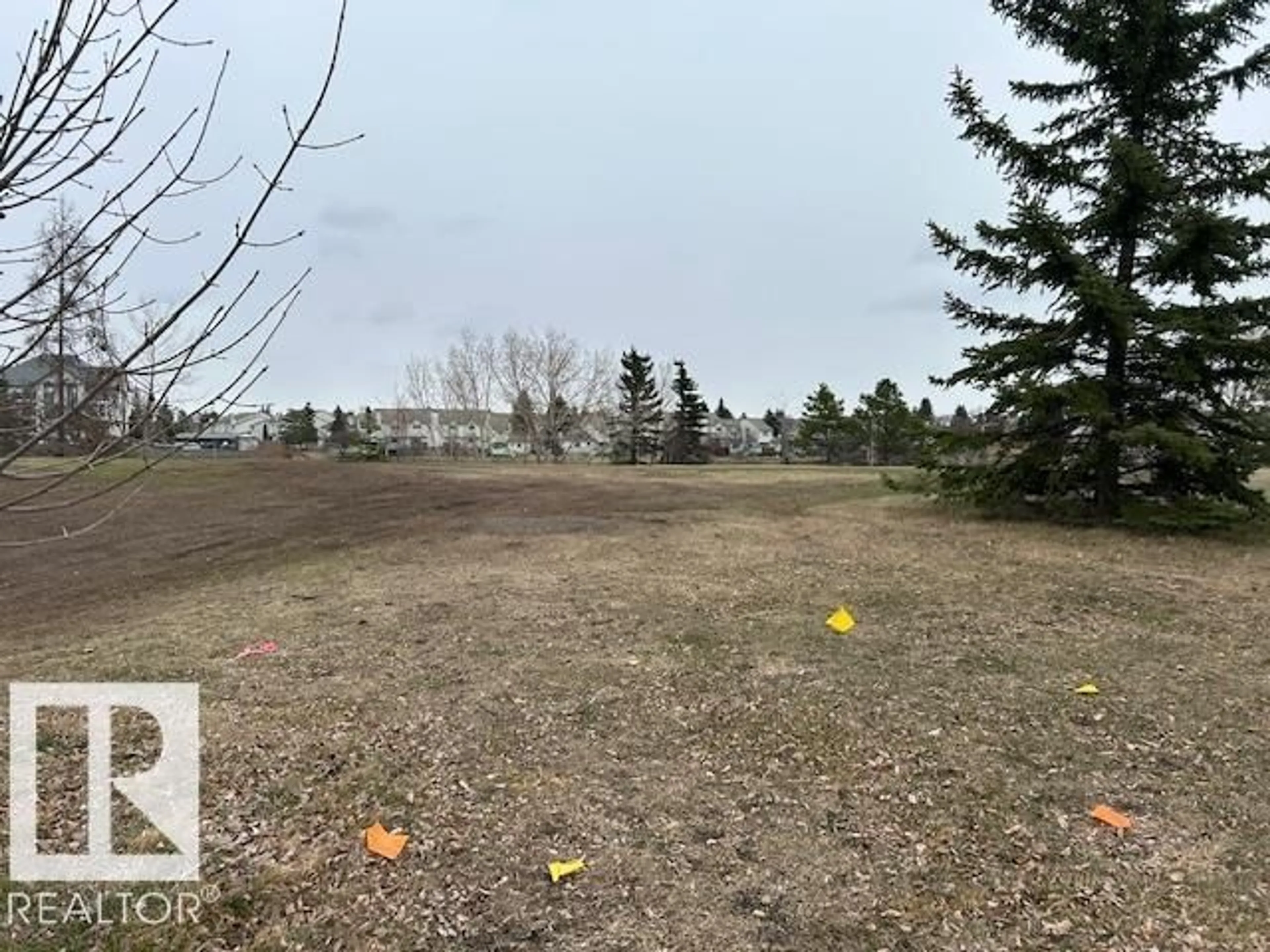 A pic from outside/outdoor area/front of a property/back of a property/a pic from drone, forest/trees view for 9630 - 50 176 ST NW, Edmonton Alberta T5T6E1