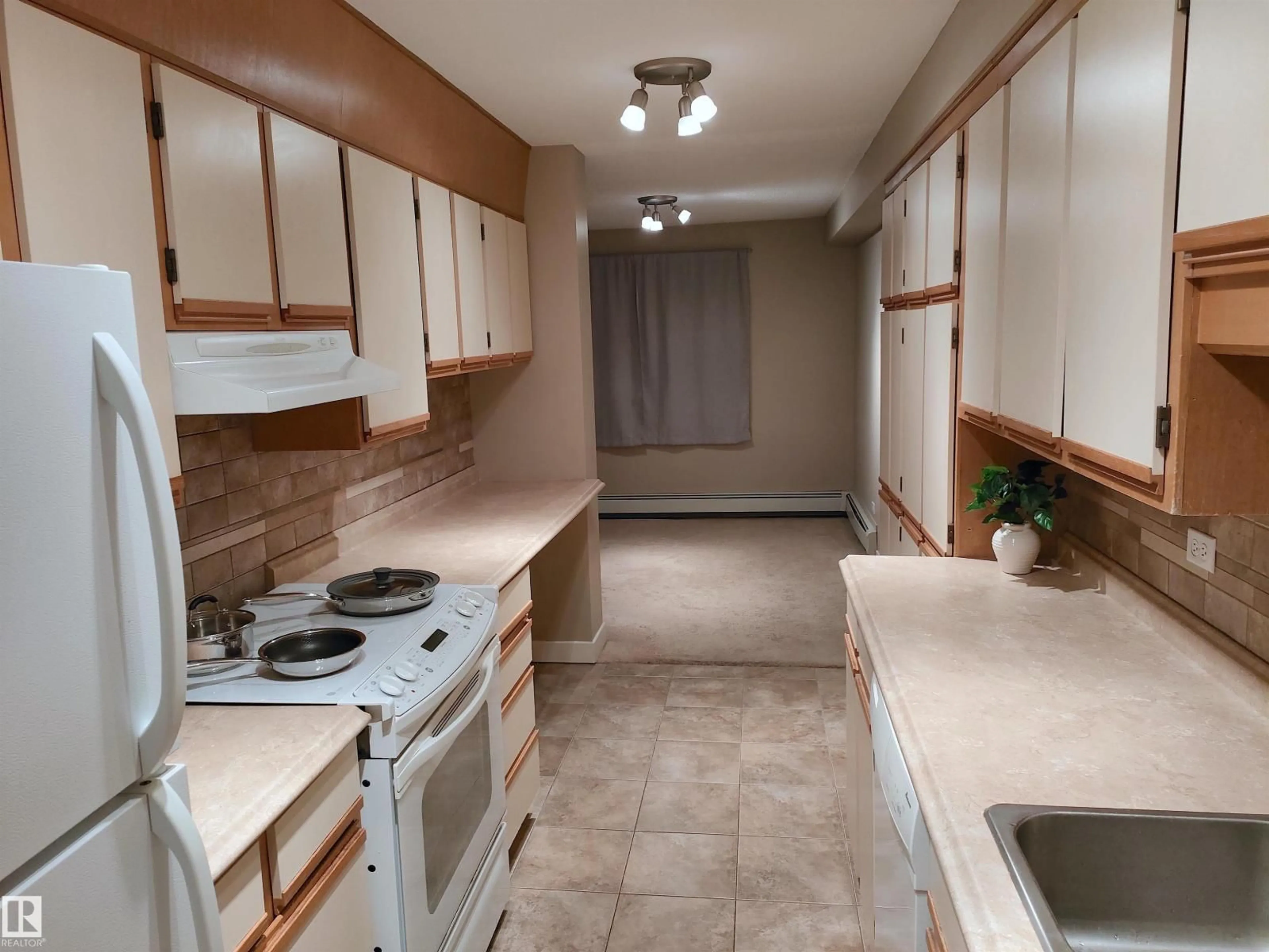 Standard kitchen, unknown for #101 - 9737 112 ST, Edmonton Alberta T5K1L3