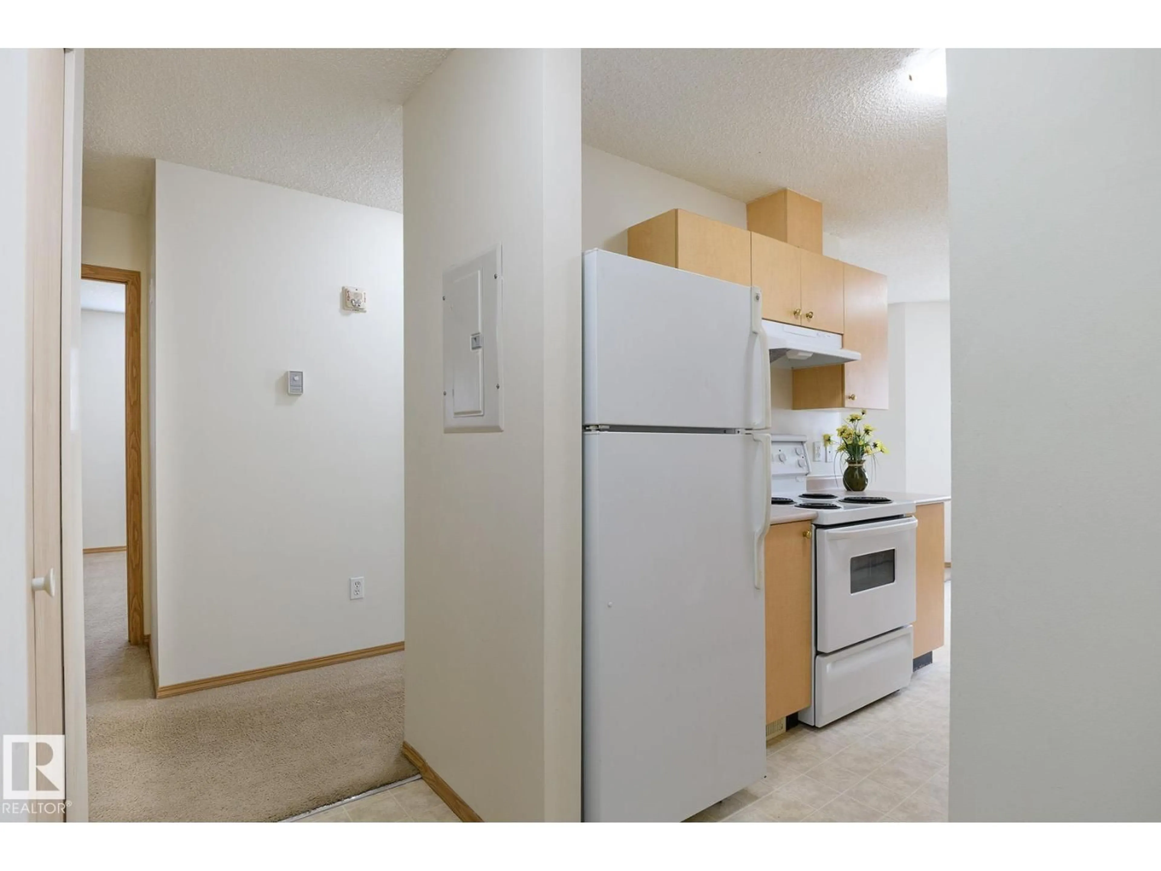 Standard kitchen, unknown for #307 - 620 KING ST, Spruce Grove Alberta T7X4K1