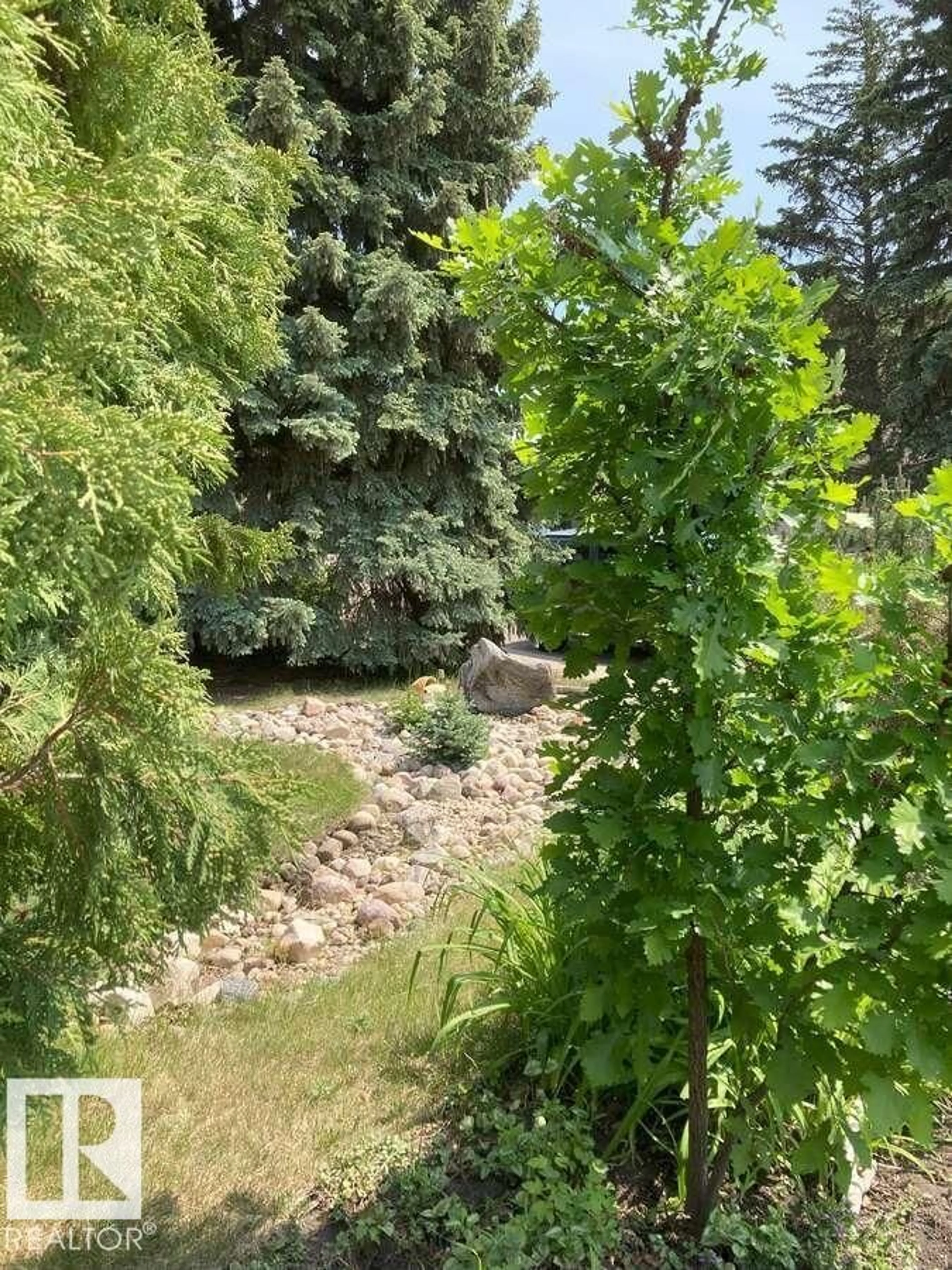 A pic from outside/outdoor area/front of a property/back of a property/a pic from drone, forest/trees view for 15212 86 AV, Edmonton Alberta T5R4C3
