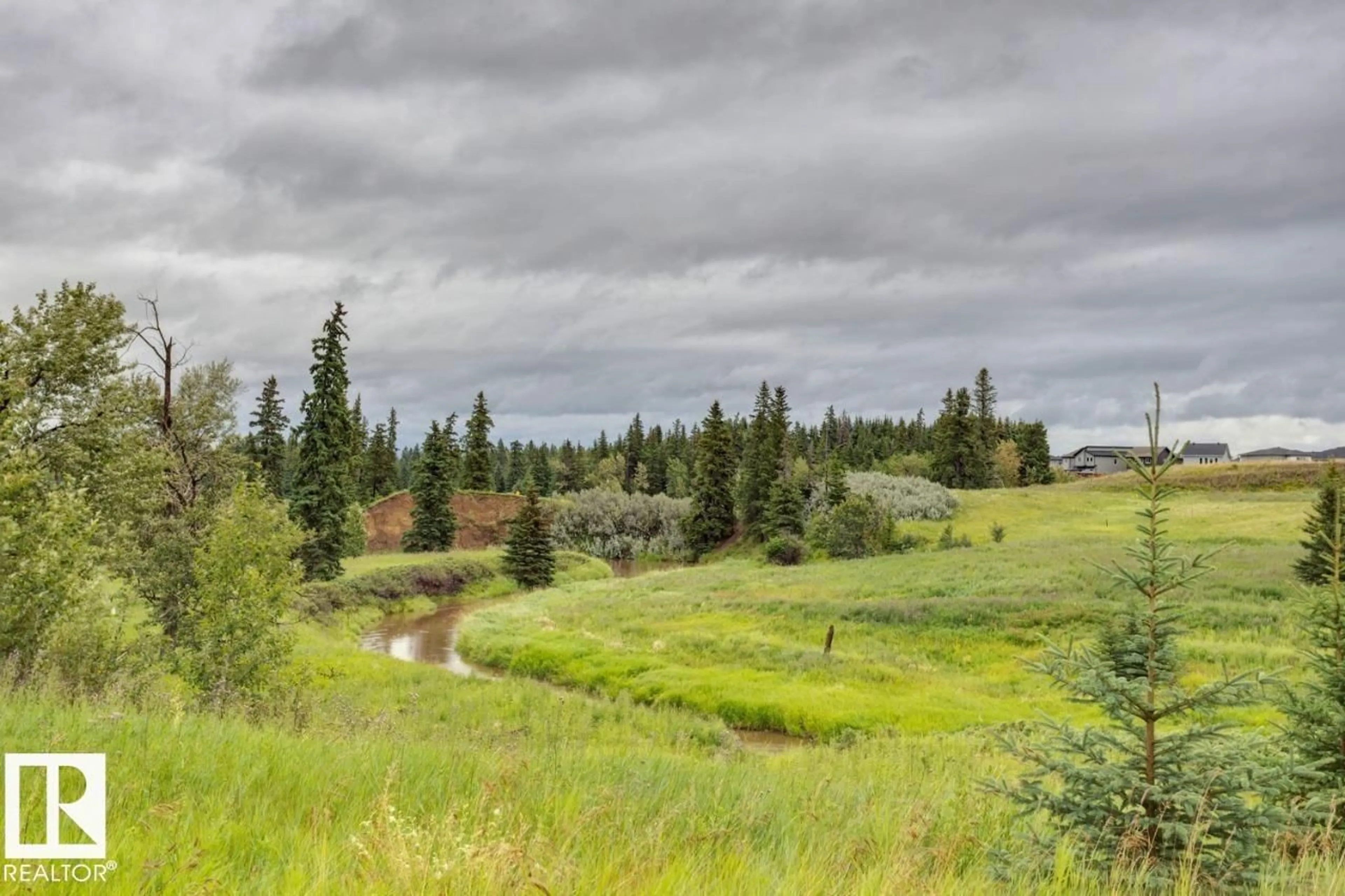A pic from outside/outdoor area/front of a property/back of a property/a pic from drone, forest/trees view for #308 - 1623 JAMES MOWATT TR, Edmonton Alberta T6W0J7