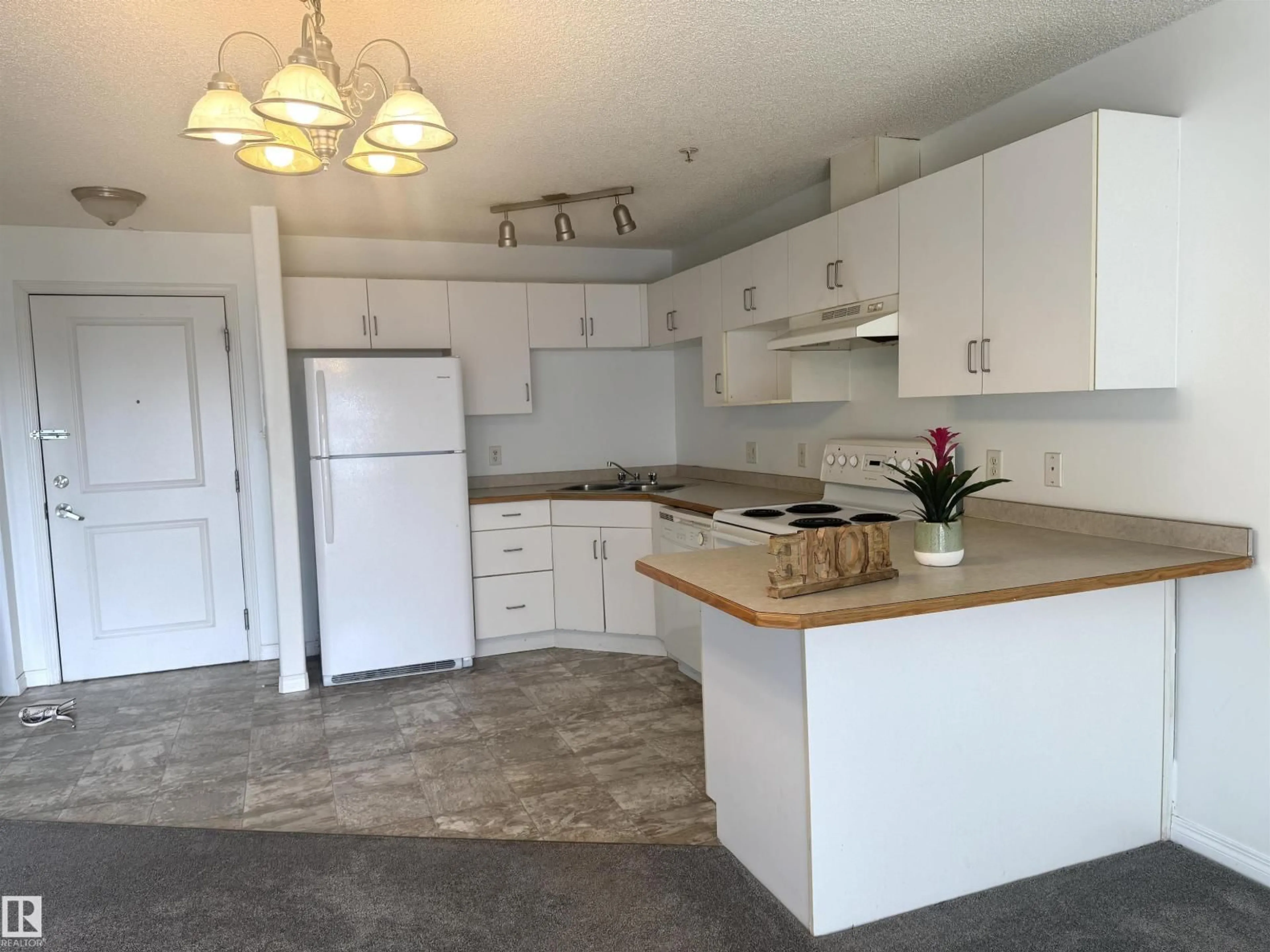 Standard kitchen, unknown for #210 - 11325 83 ST, Edmonton Alberta T5B4W5