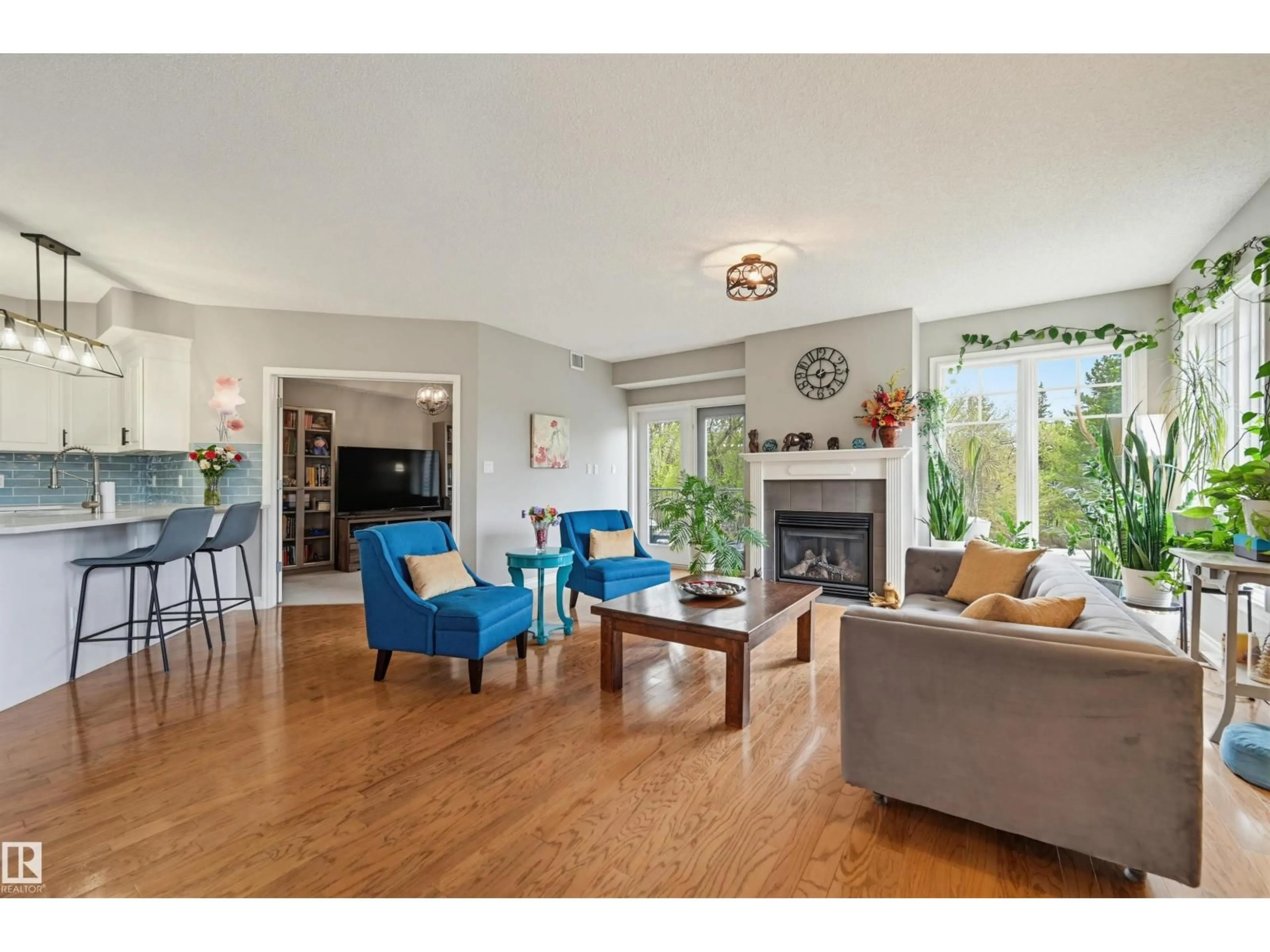 Living room with furniture, wood/laminate floor for 201 - 9811 96A ST NW, Edmonton Alberta T6A4A4