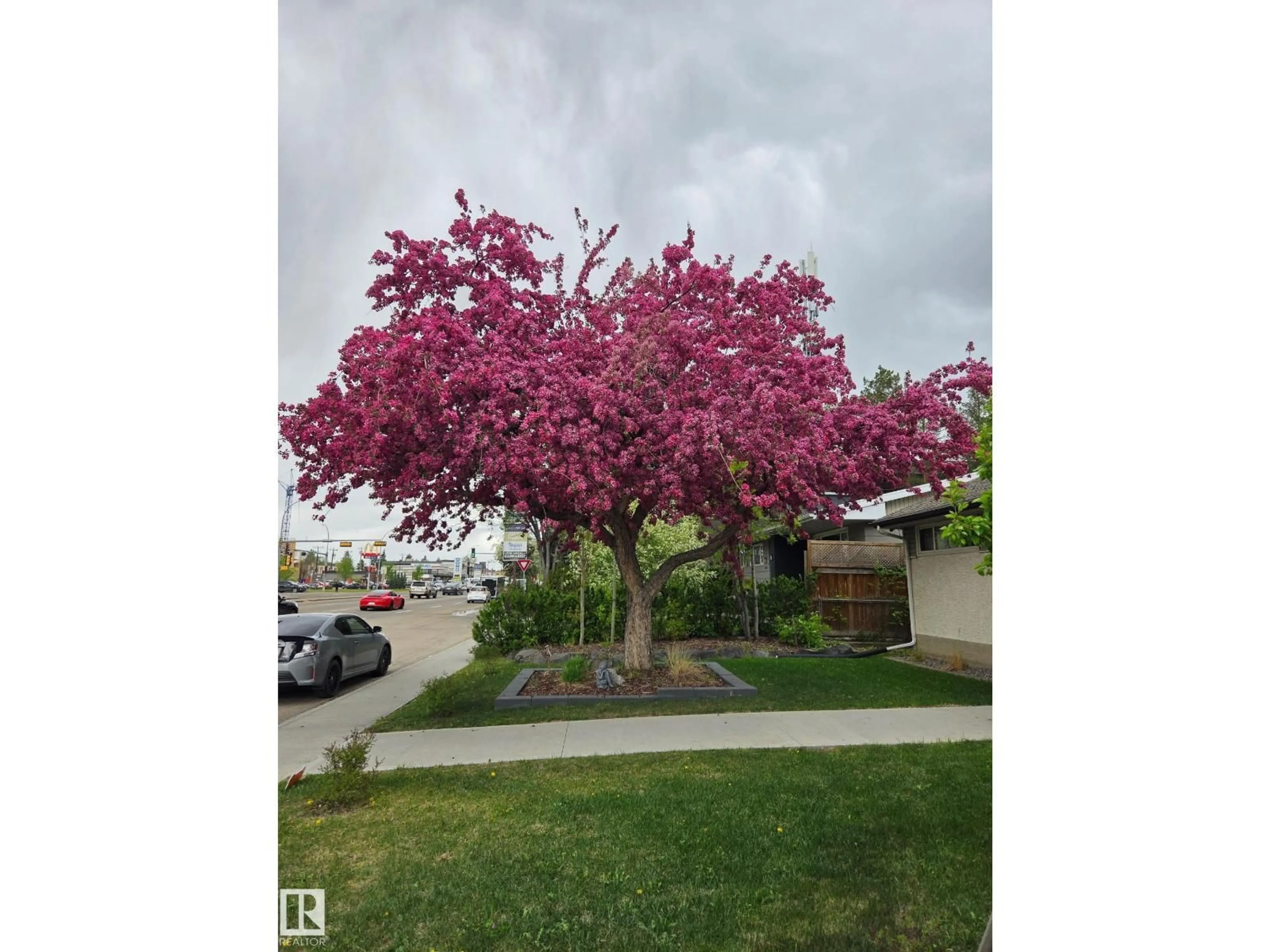 Unknown for NW - 8603 149 ST, Edmonton Alberta T5R1B3
