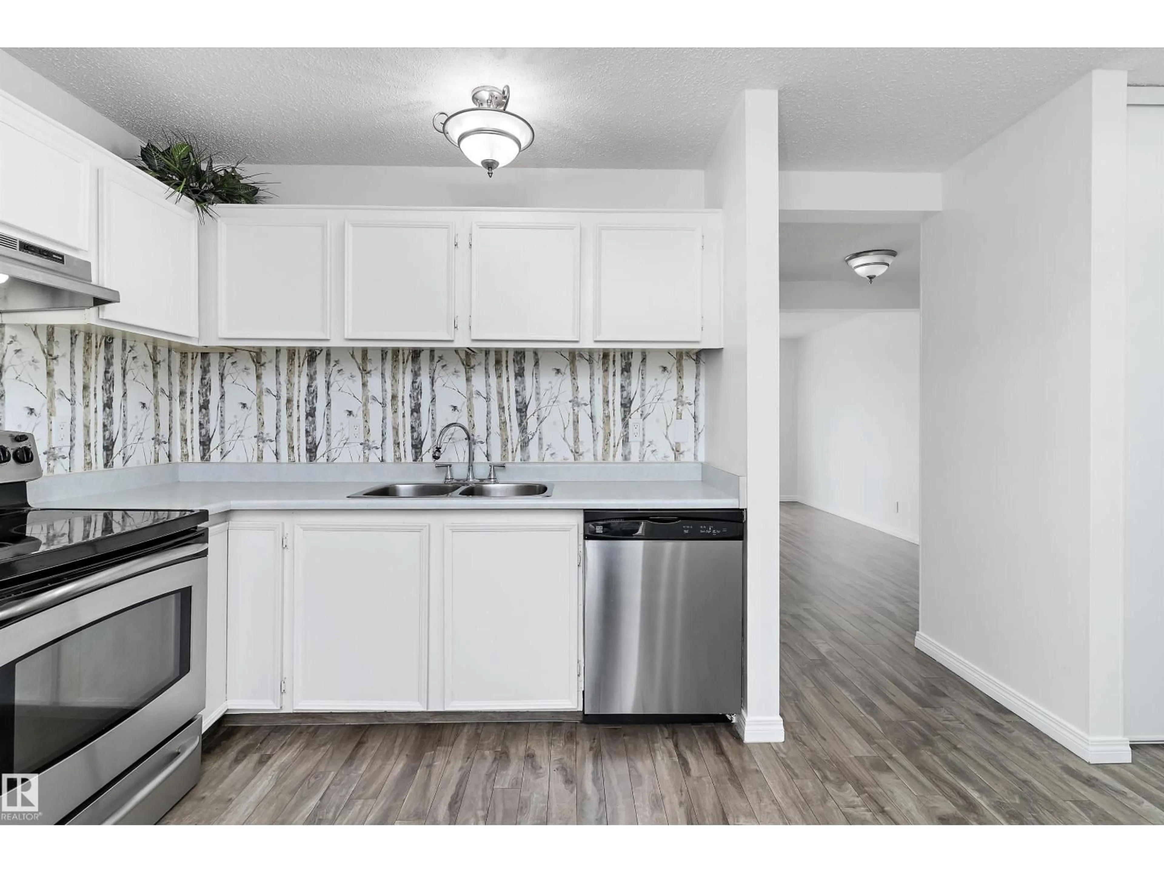 Standard kitchen, unknown for #101 - 8930 99 AV, Fort Saskatchewan Alberta T8L3L1