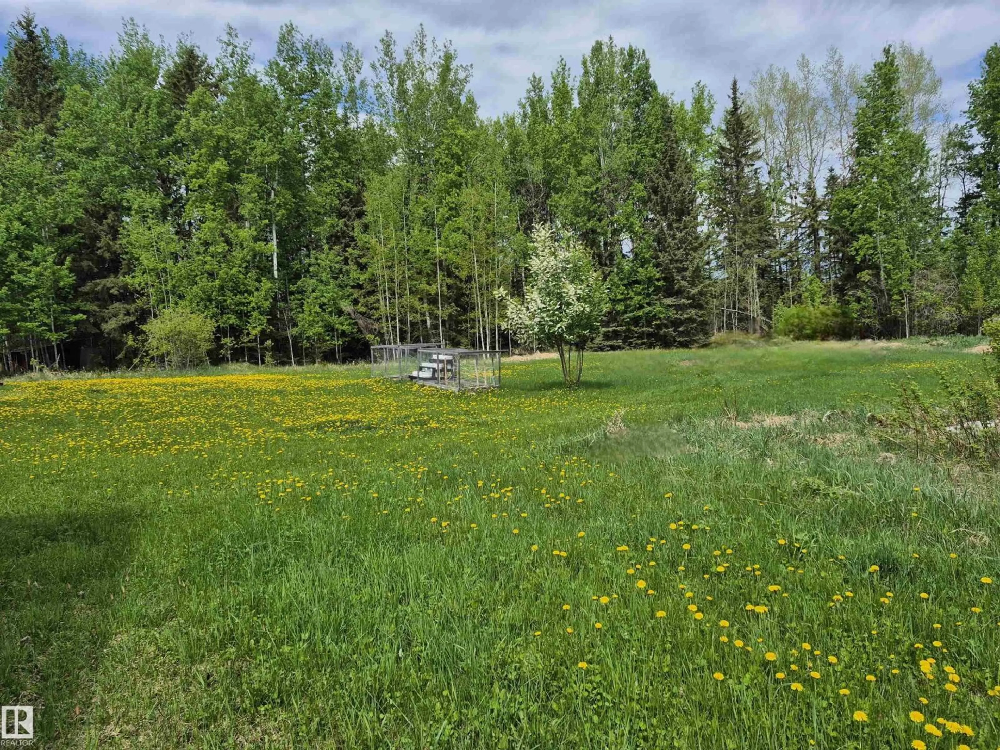 A pic from outside/outdoor area/front of a property/back of a property/a pic from drone, forest/trees view for 53018 RGE RD 95, Rural Yellowhead Alberta T0E2M0