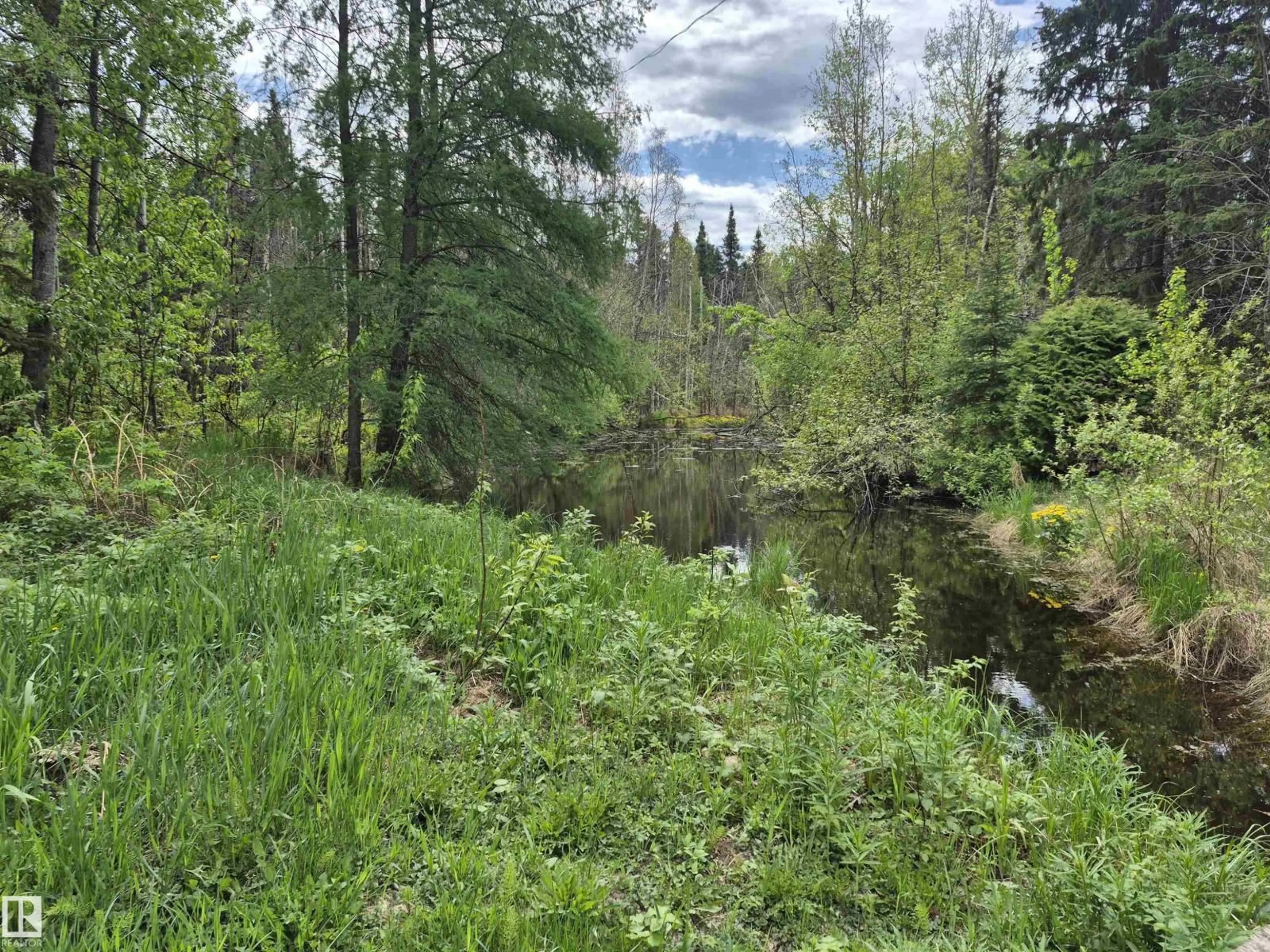 A pic from outside/outdoor area/front of a property/back of a property/a pic from drone, forest/trees view for 53018 RGE RD 95, Rural Yellowhead Alberta T0E2M0