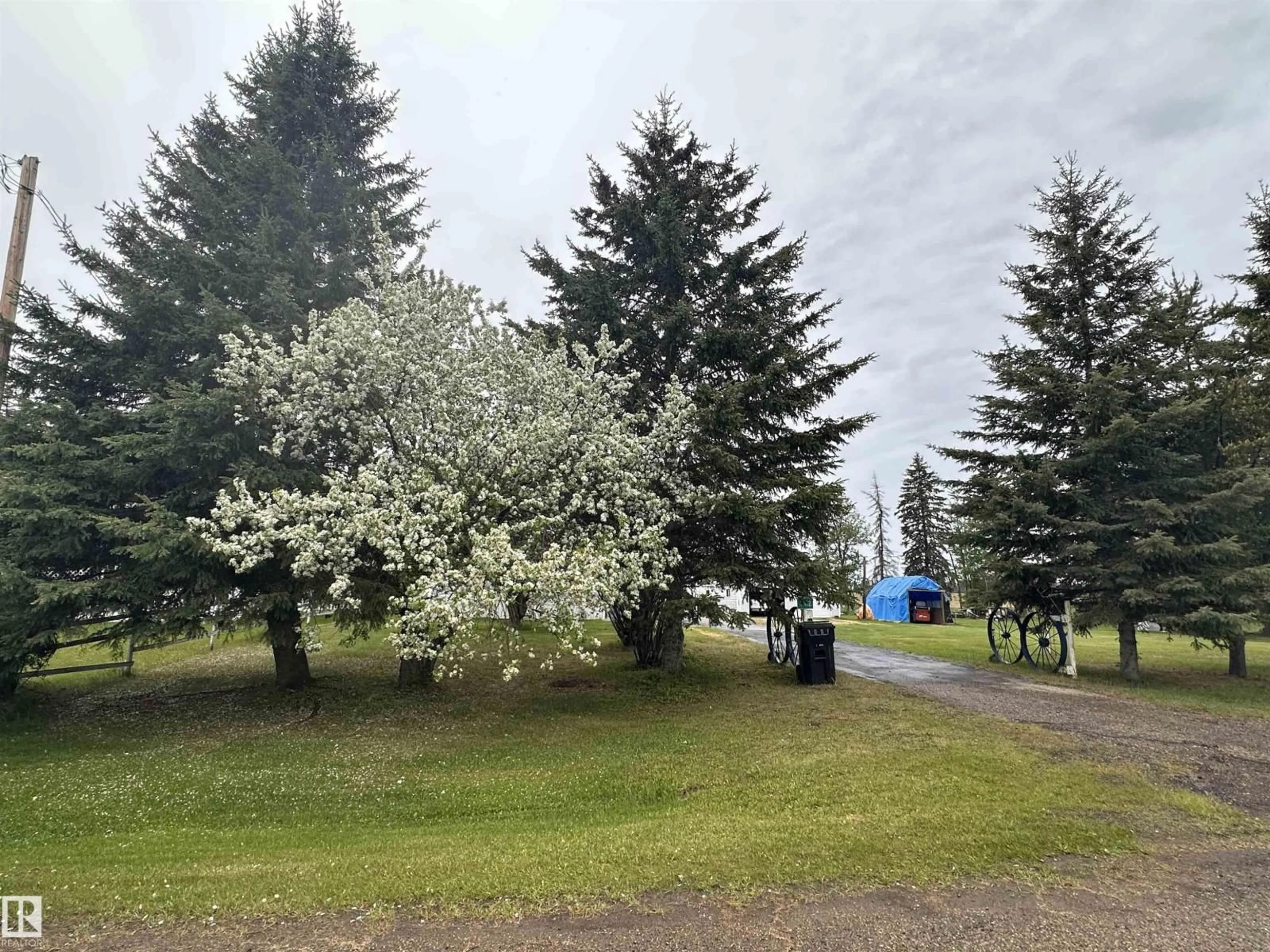 A pic from outside/outdoor area/front of a property/back of a property/a pic from drone, forest/trees view for 4612 50 ST, Fawcett Alberta T0G0Y0