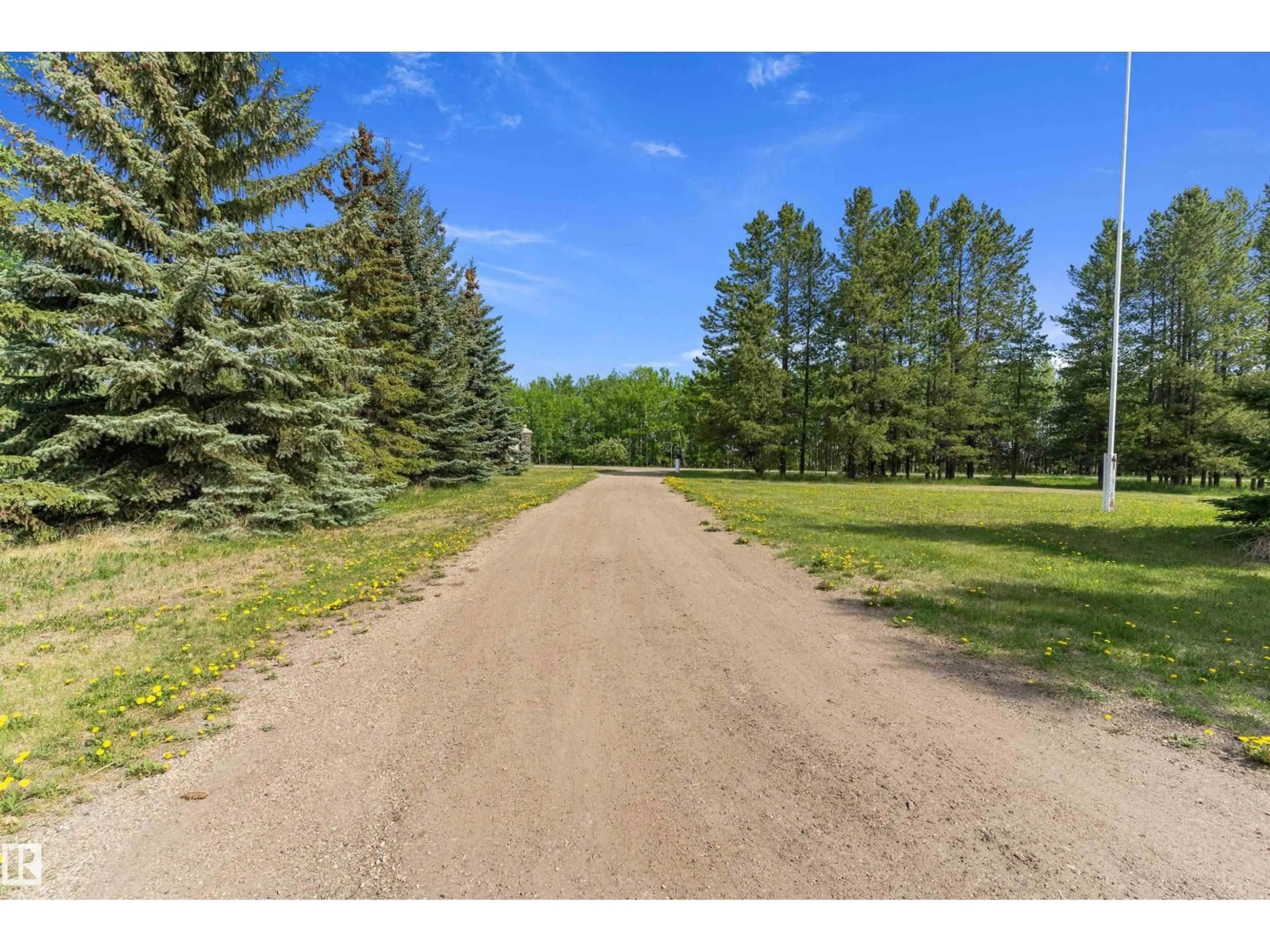 A pic from outside/outdoor area/front of a property/back of a property/a pic from drone, forest/trees view for 20415 QUADRANT AVE, Edmonton Alberta T6M2N8