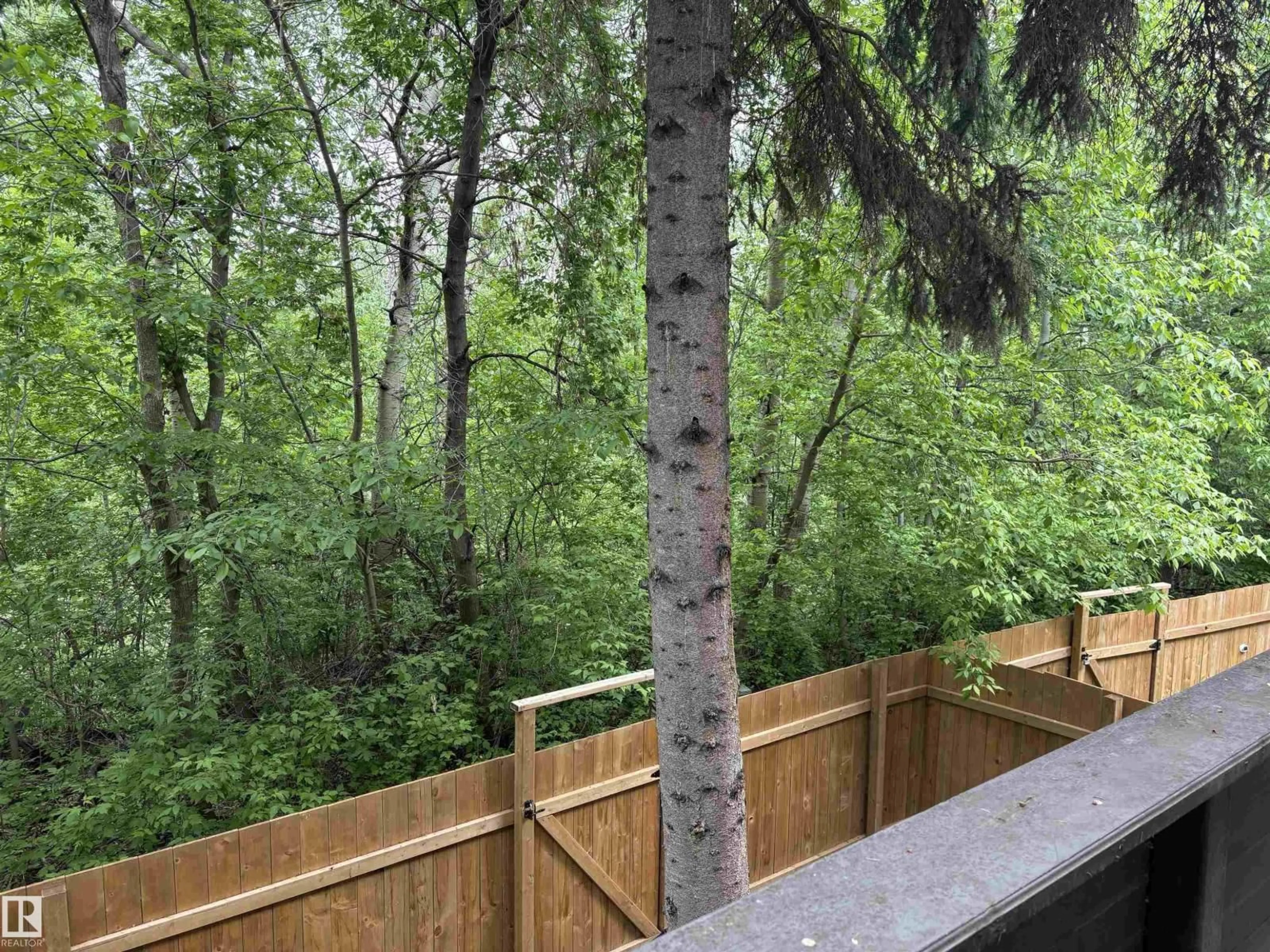 Balcony in the apartment, forest/trees view for 167 RIDGEWOOD, St. Albert Alberta T8N0E9