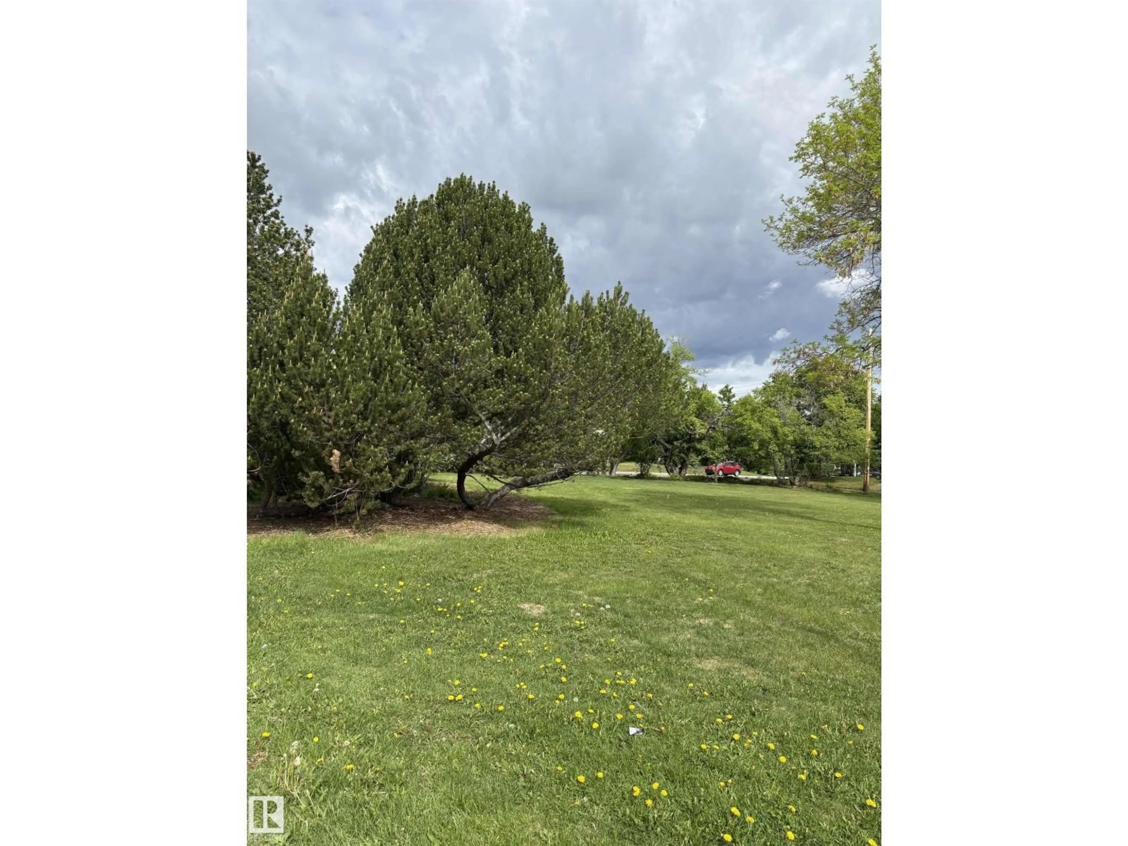 A pic from outside/outdoor area/front of a property/back of a property/a pic from drone, forest/trees view for NW - 14507 88 AV, Edmonton Alberta T5R4J7