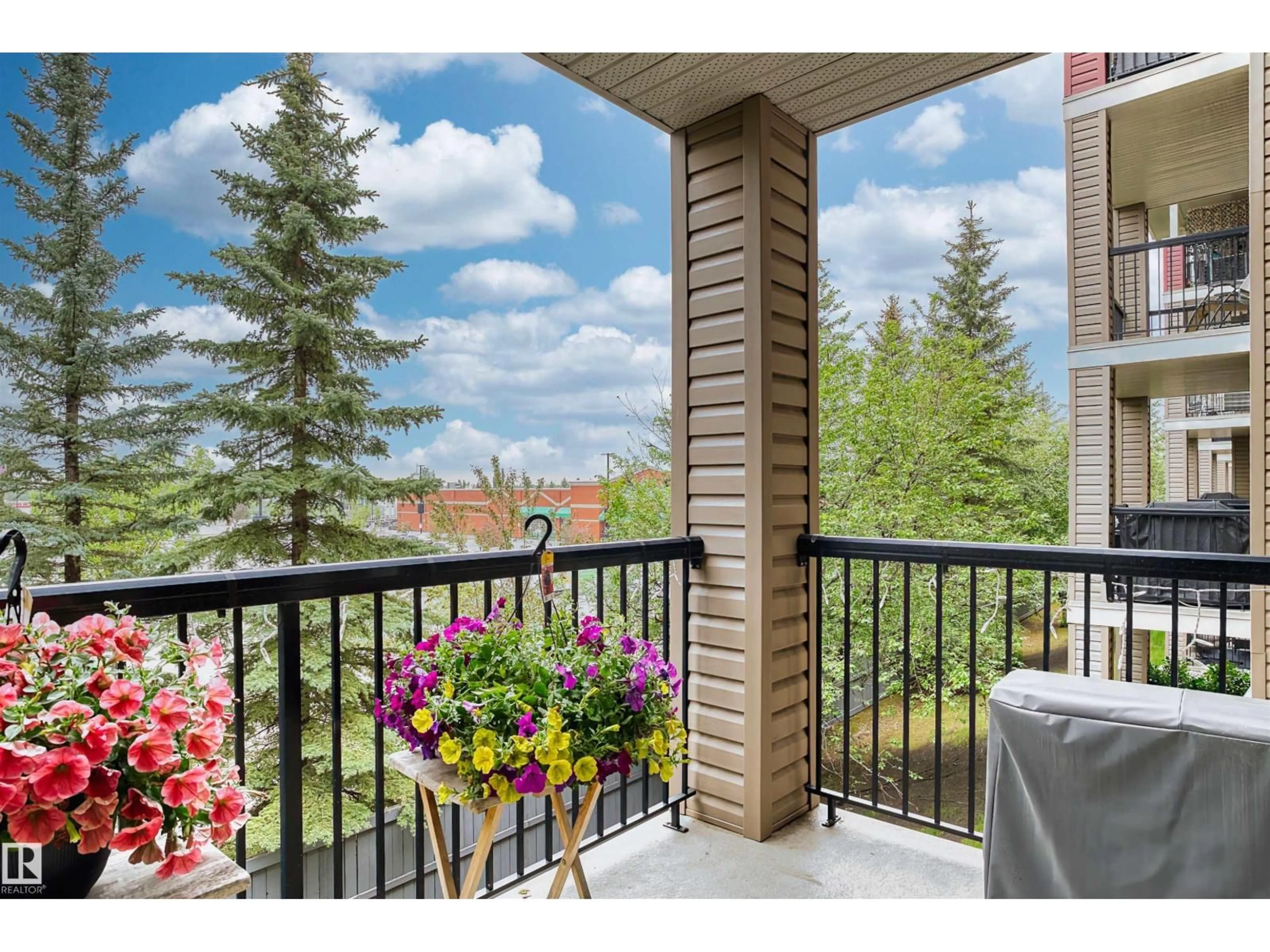 Balcony in the apartment, unknown for #221 - 2098 BLACKMUD CREEK DR, Edmonton Alberta T6W1T7